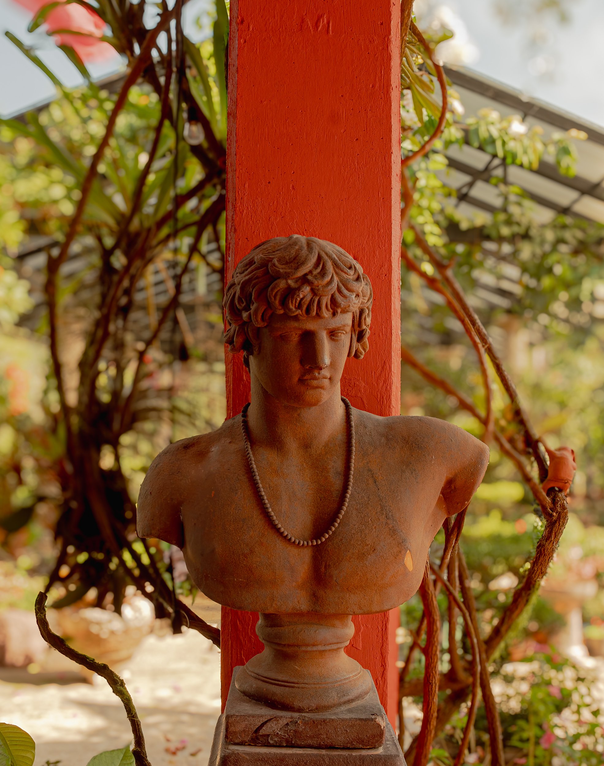 BotanicalGardenPV1-11.jpg