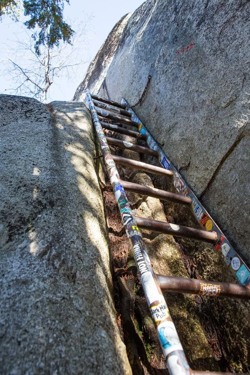 A metal ladder with stickers, attached to a rock face with chains, ascending along a rock wall in an outdoor natural setting.