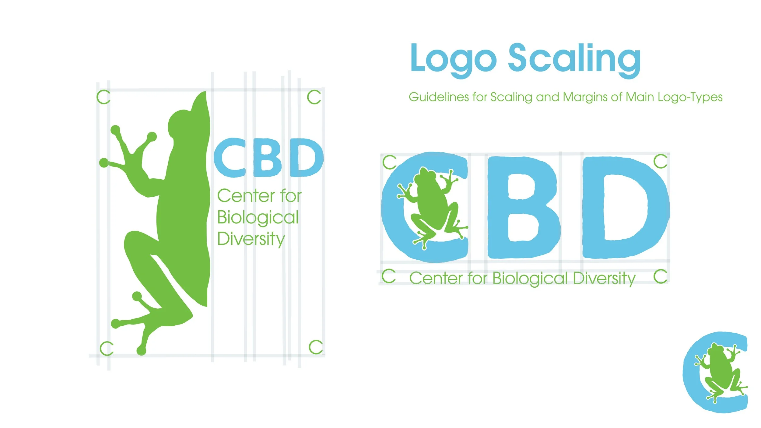 Style Guide CBD6.jpg