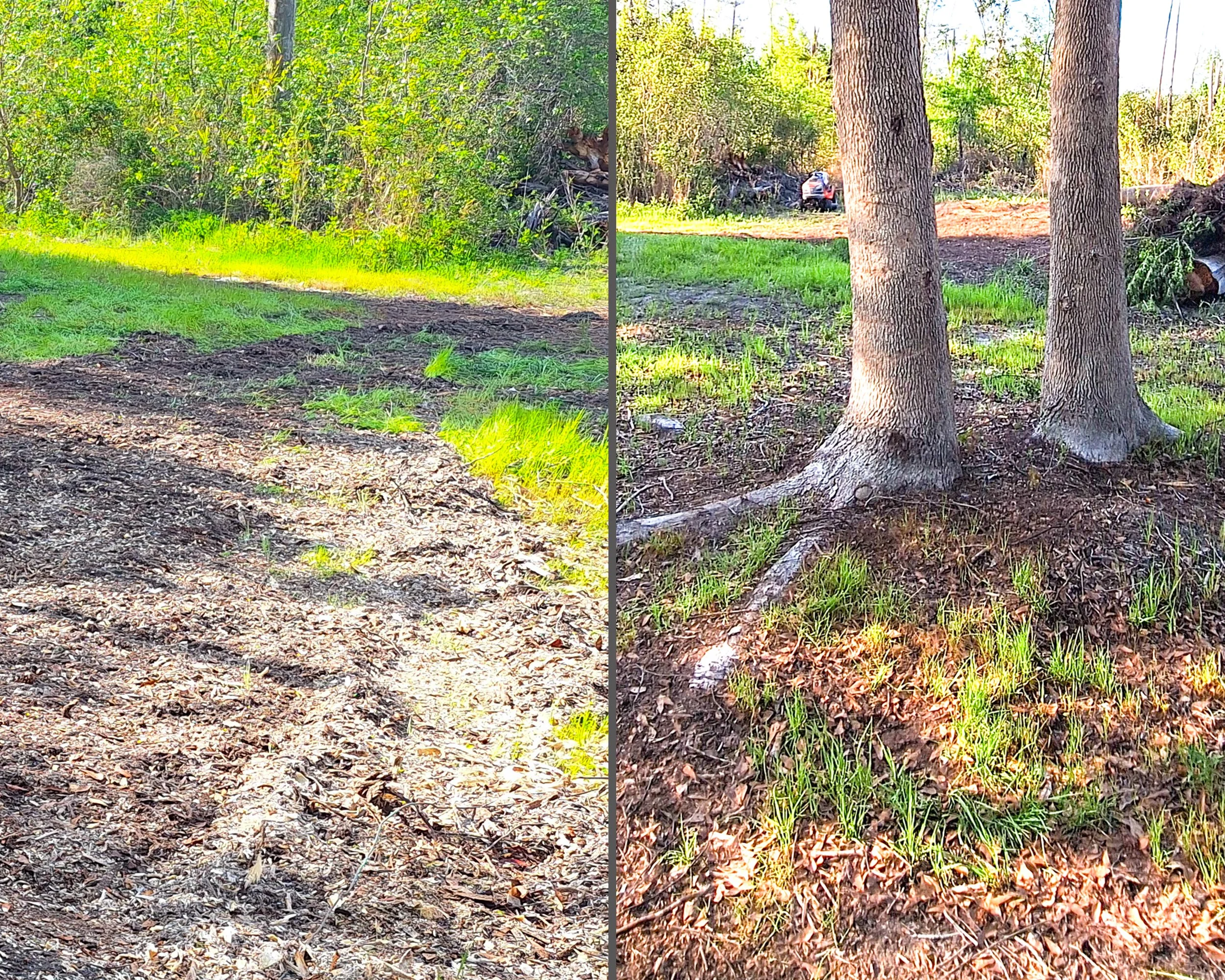 Side-by-side comparison of land scenery with the left side showing bright daylight with dense greenery and two trees, and the right side showing the trees removed.