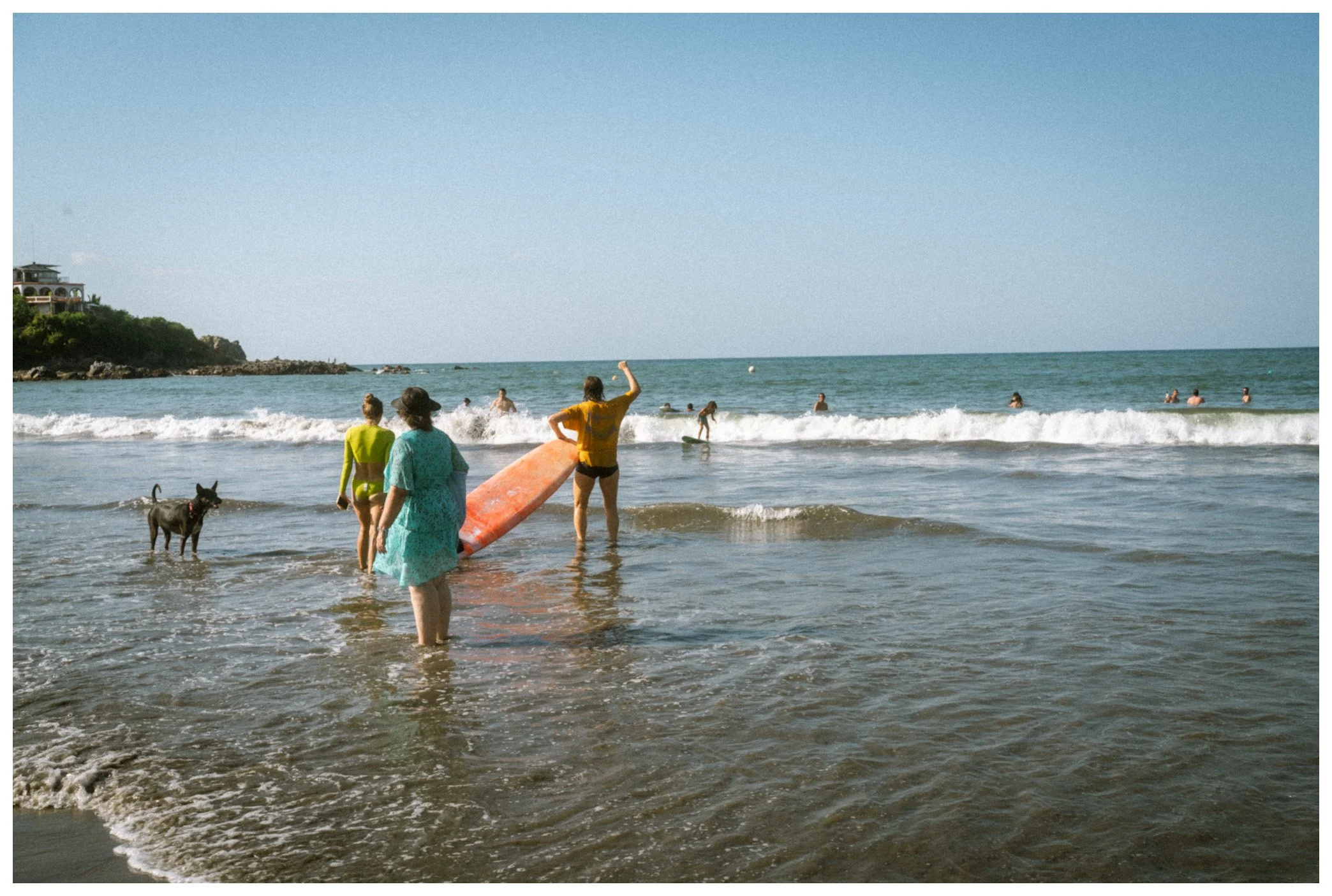 People at the beach with one person holding a surfboard, some swim in the ocean, and a dog standing in the shallow water, under a clear blue sky.