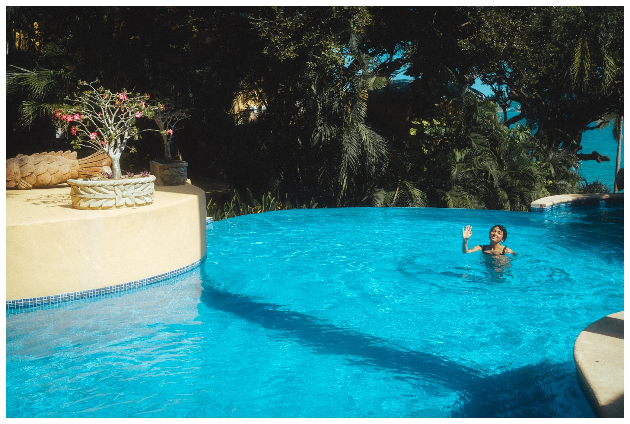 A person swimming in a swimming pool with lush green tropical plants and trees in the background.