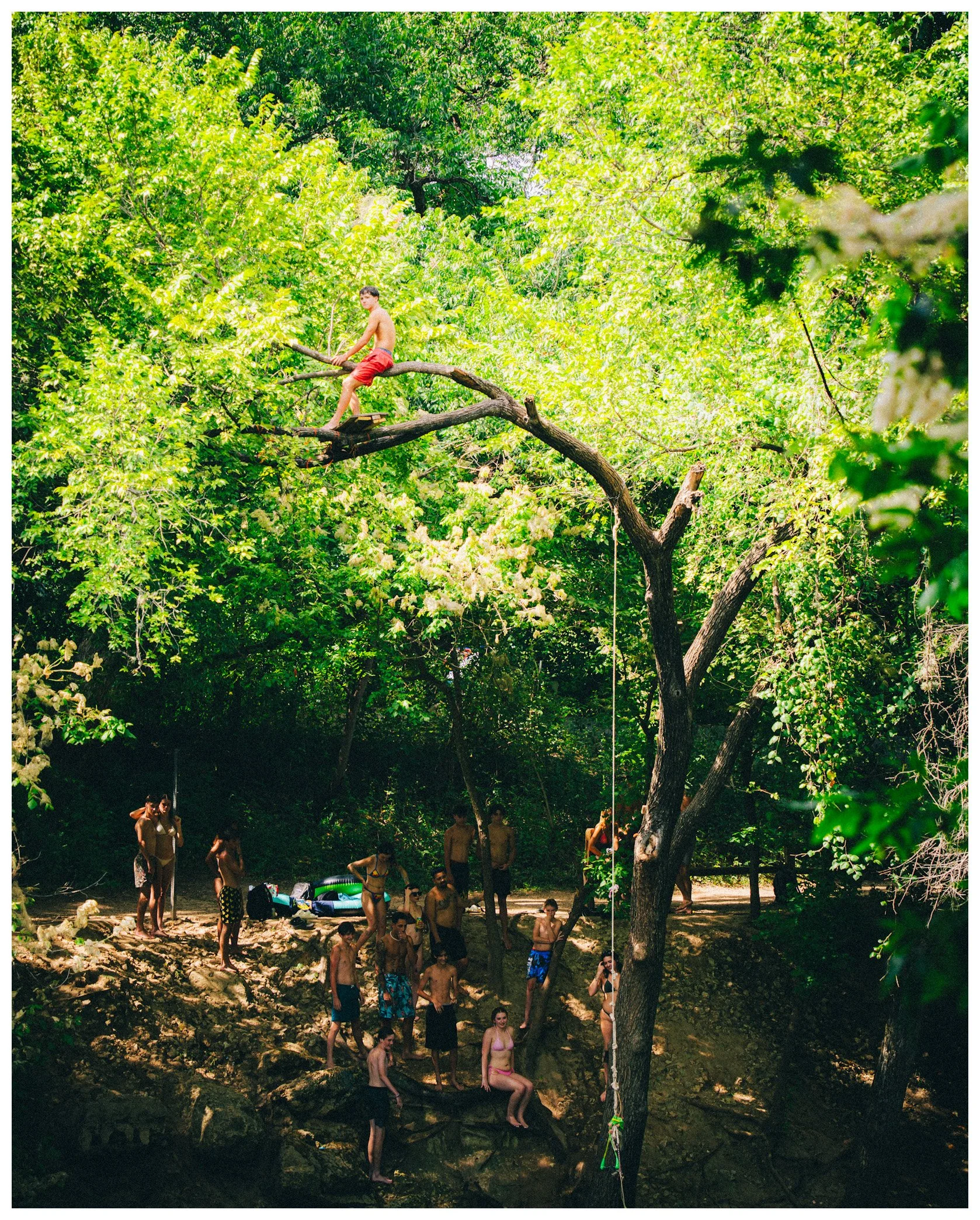 People enjoying a summer day at a wooded creek, some standing on rocks, others sitting or standing, with a boy in red shorts sitting on a tree branch extending over the water, surrounded by lush green leaves and trees.