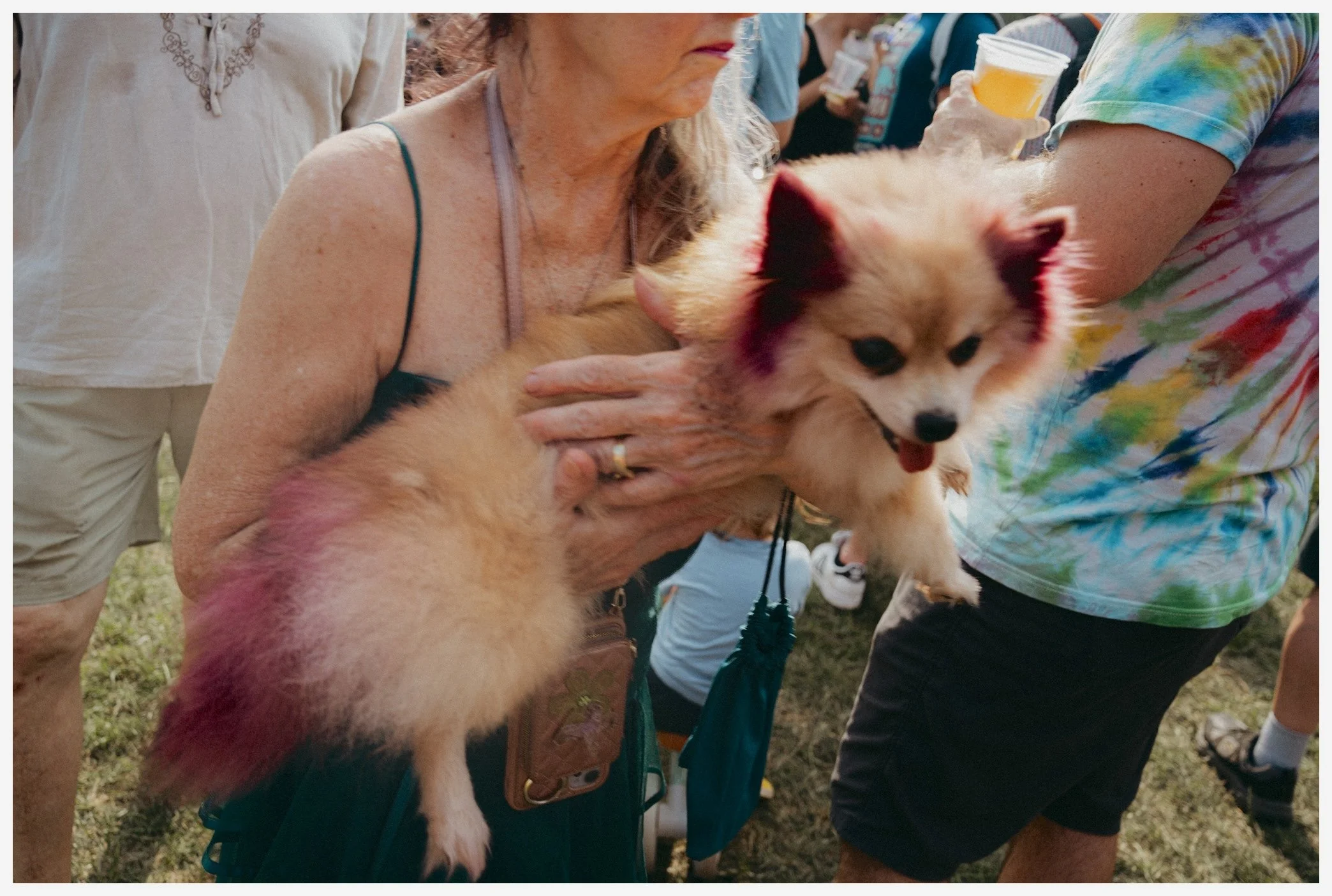 A woman holding a fluffy dog with reddish-golden fur and pointed ears at an outdoor event, surrounded by people, some holding drinks and wearing casual summer clothes.