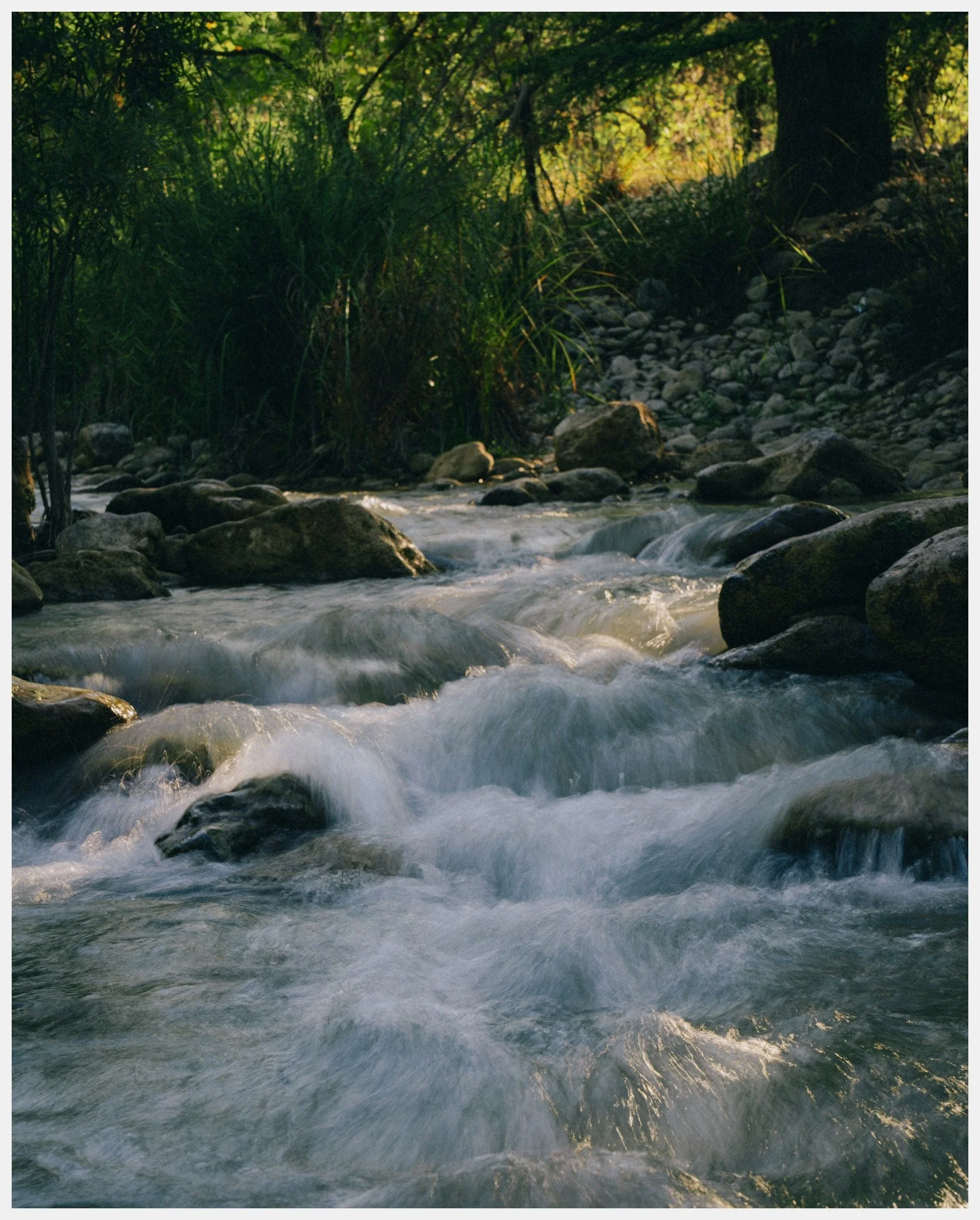 A flowing mountain stream amidst lush green trees and rocks, with sunlight filtering through the foliage.
