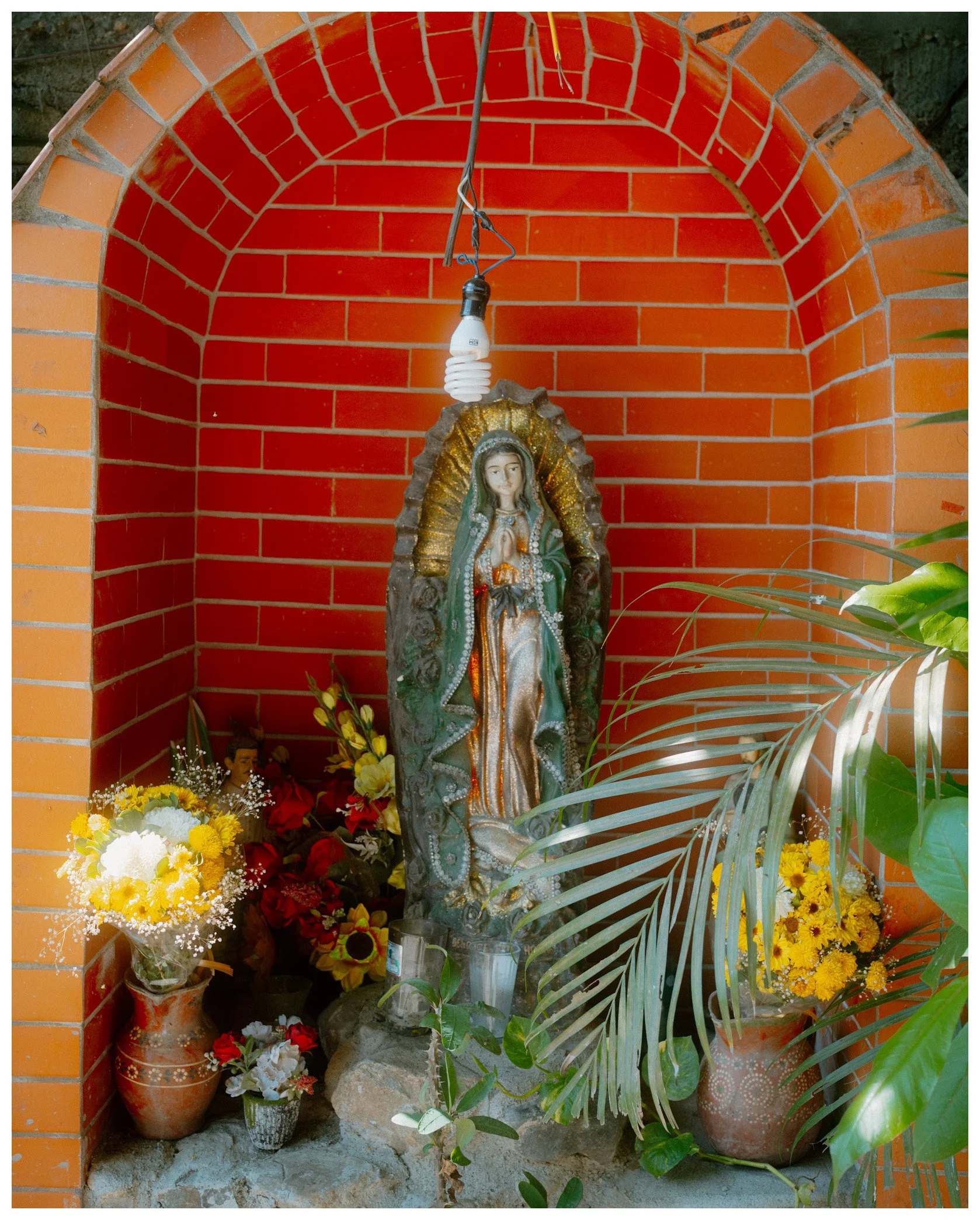 A religious shrine with a statue of Our Lady of Guadalupe, surrounded by flowers, potted plants, and a brick alcove.