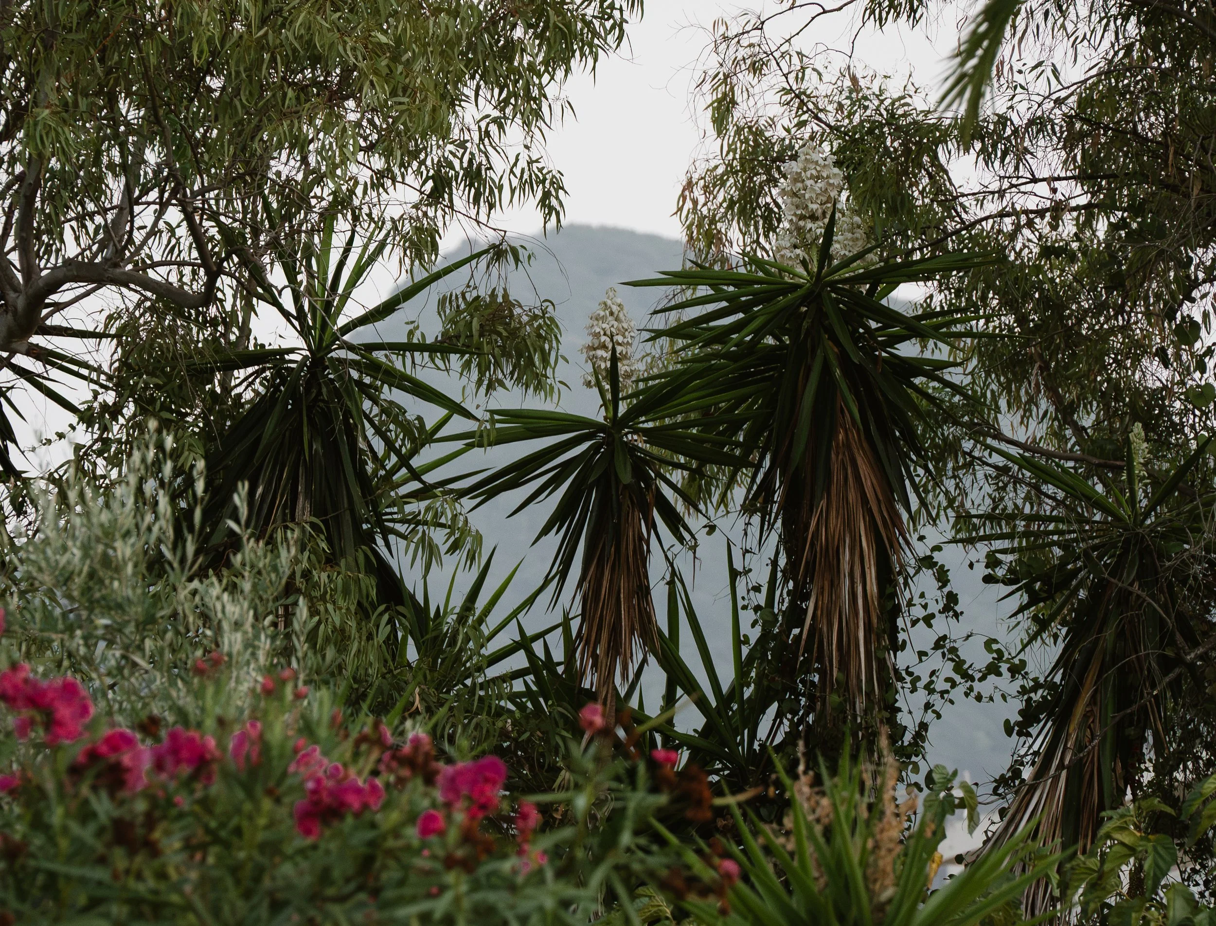 DSC_1402.jpg