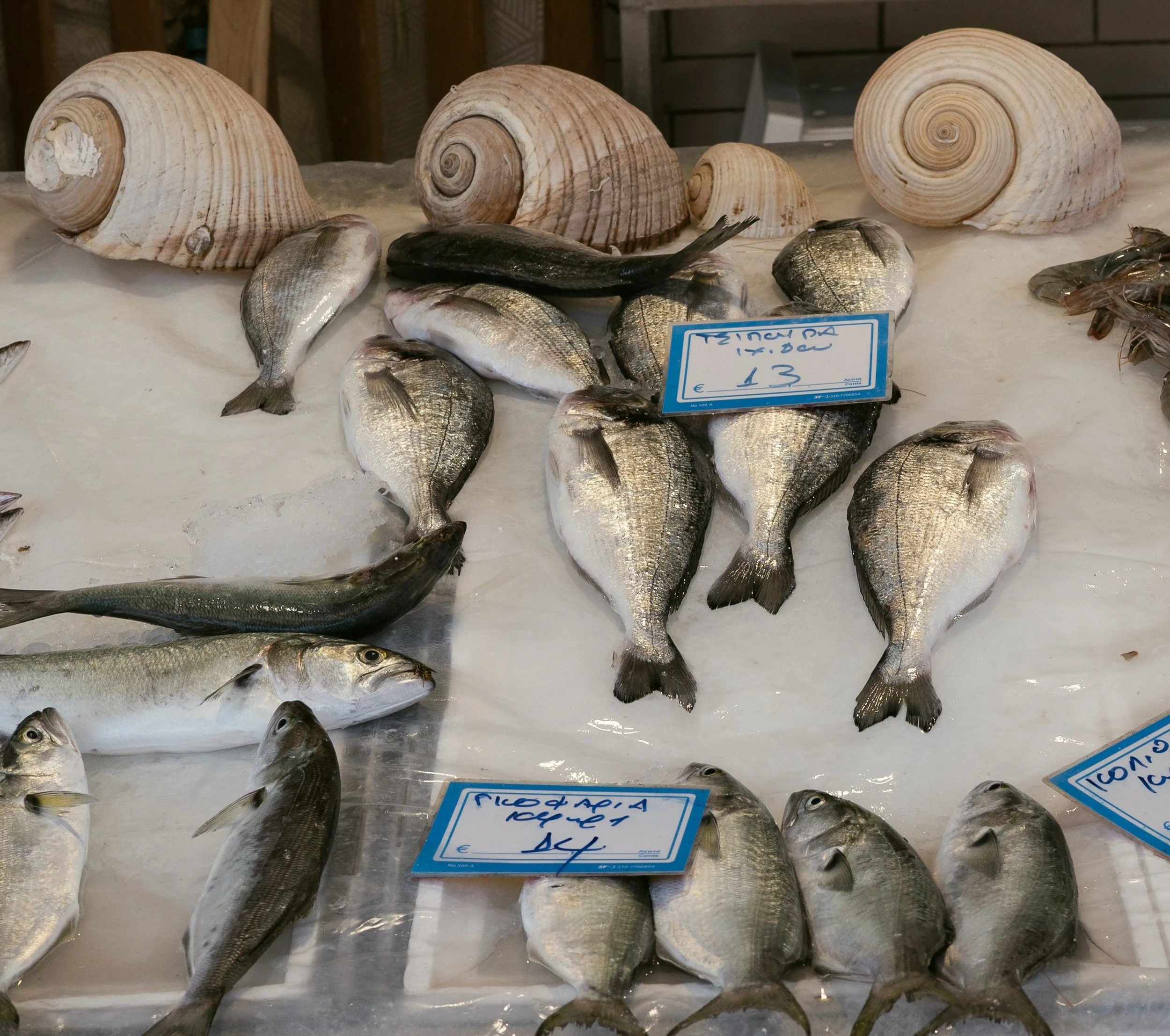 DSC_1712.jpg
