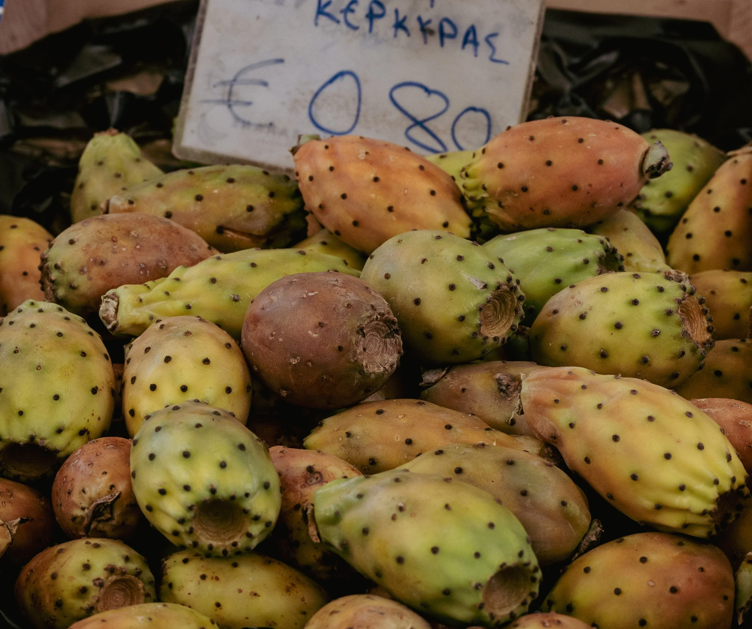 DSC_1709-2.jpg