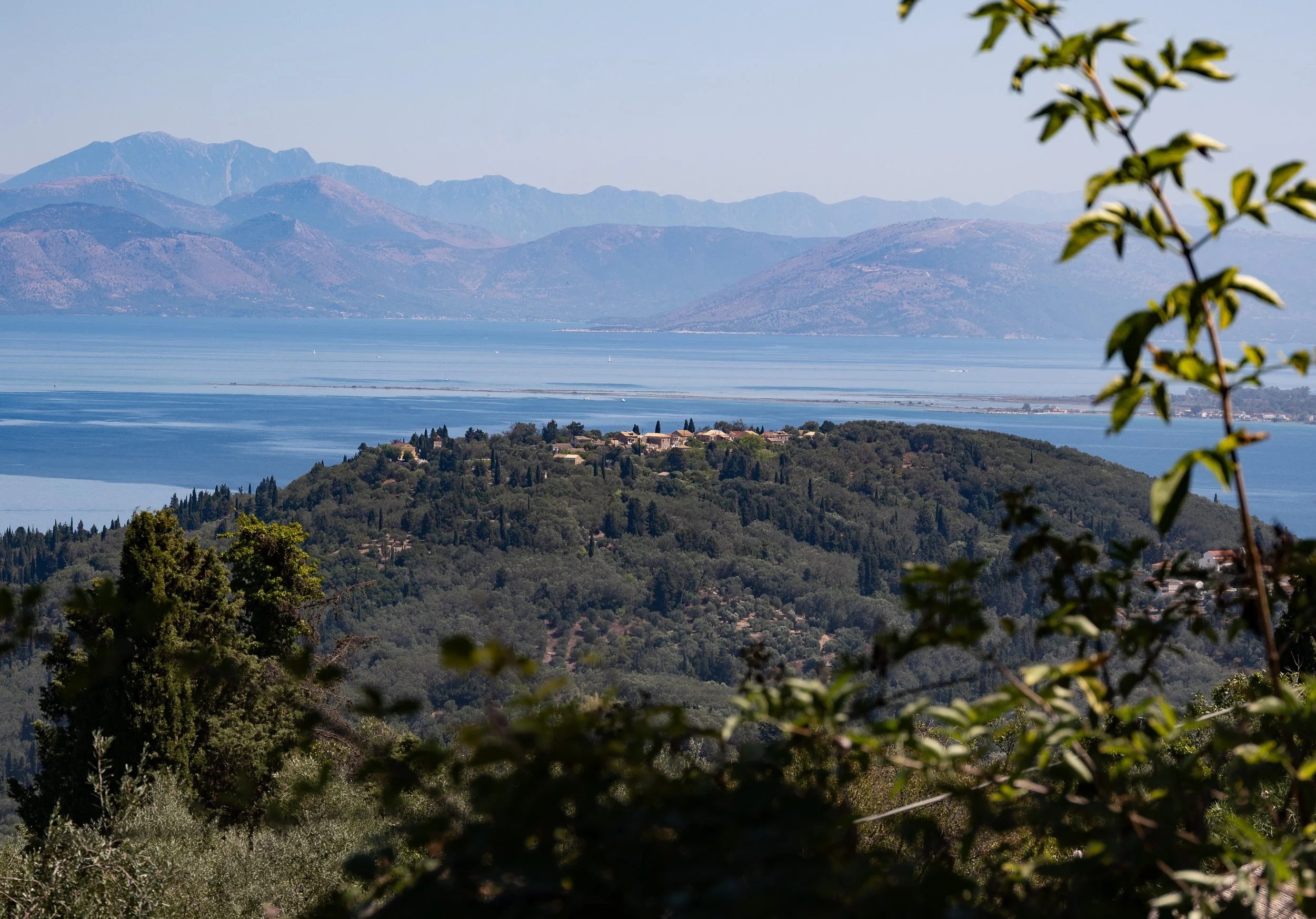 DSC_1873.jpg