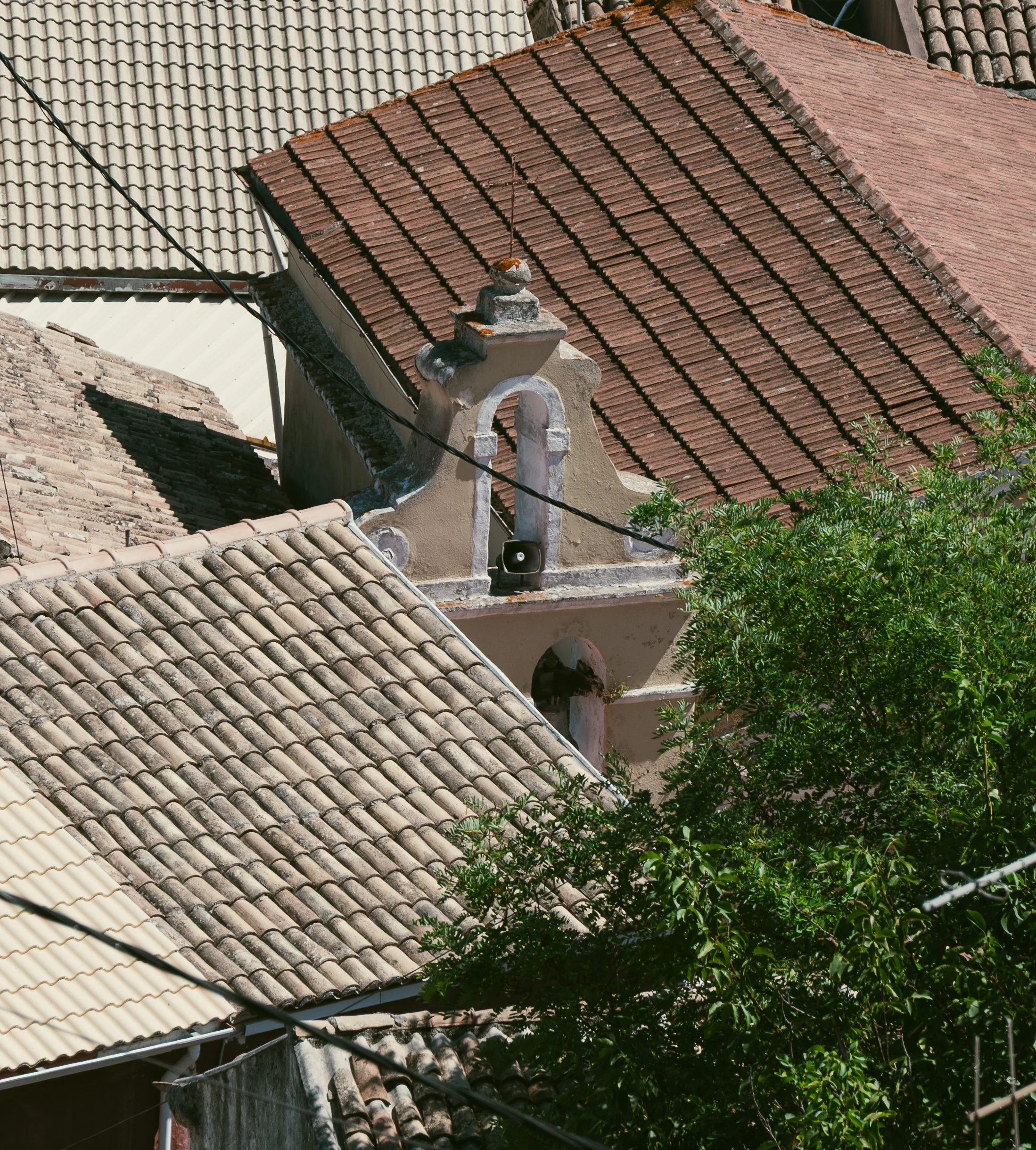 DSC_1924-2.jpg