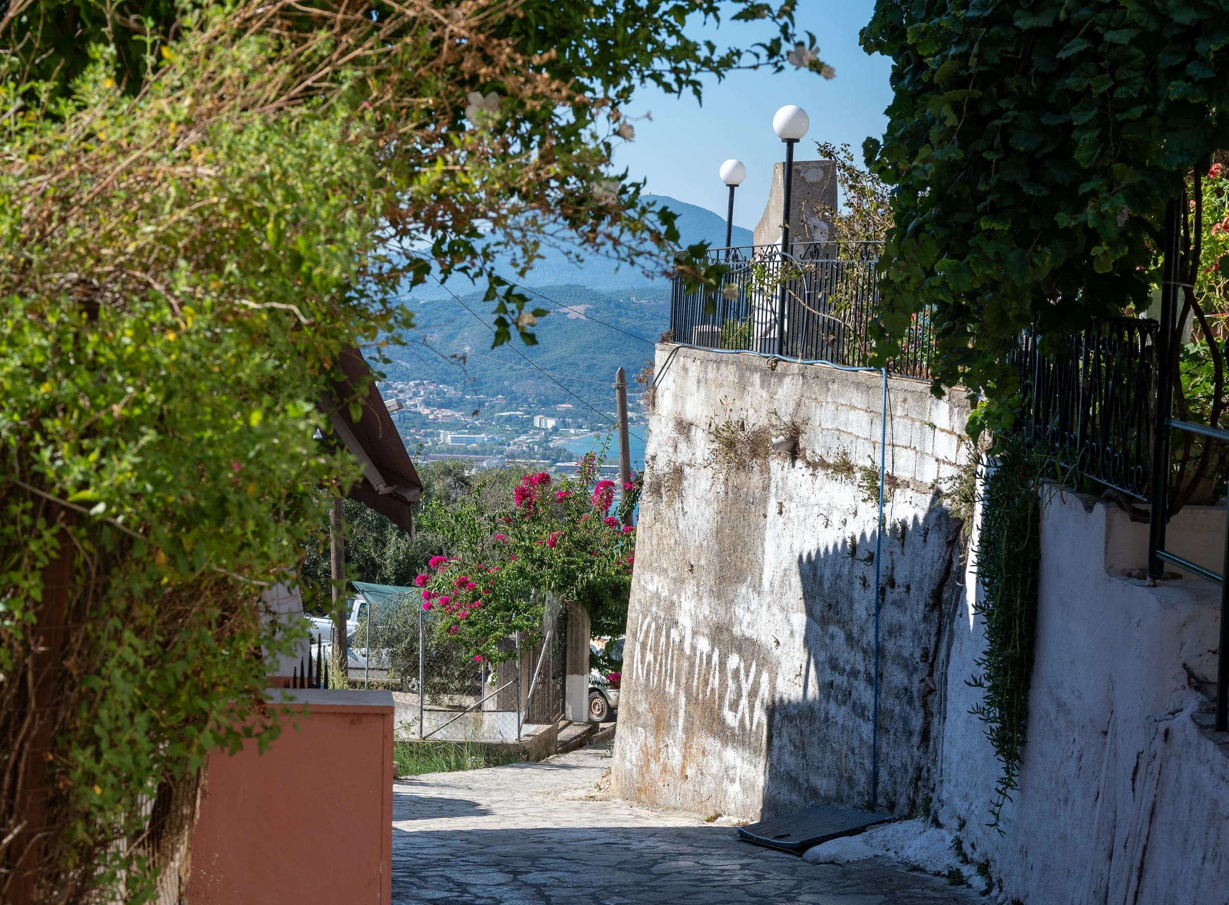 DSC_2022.jpg
