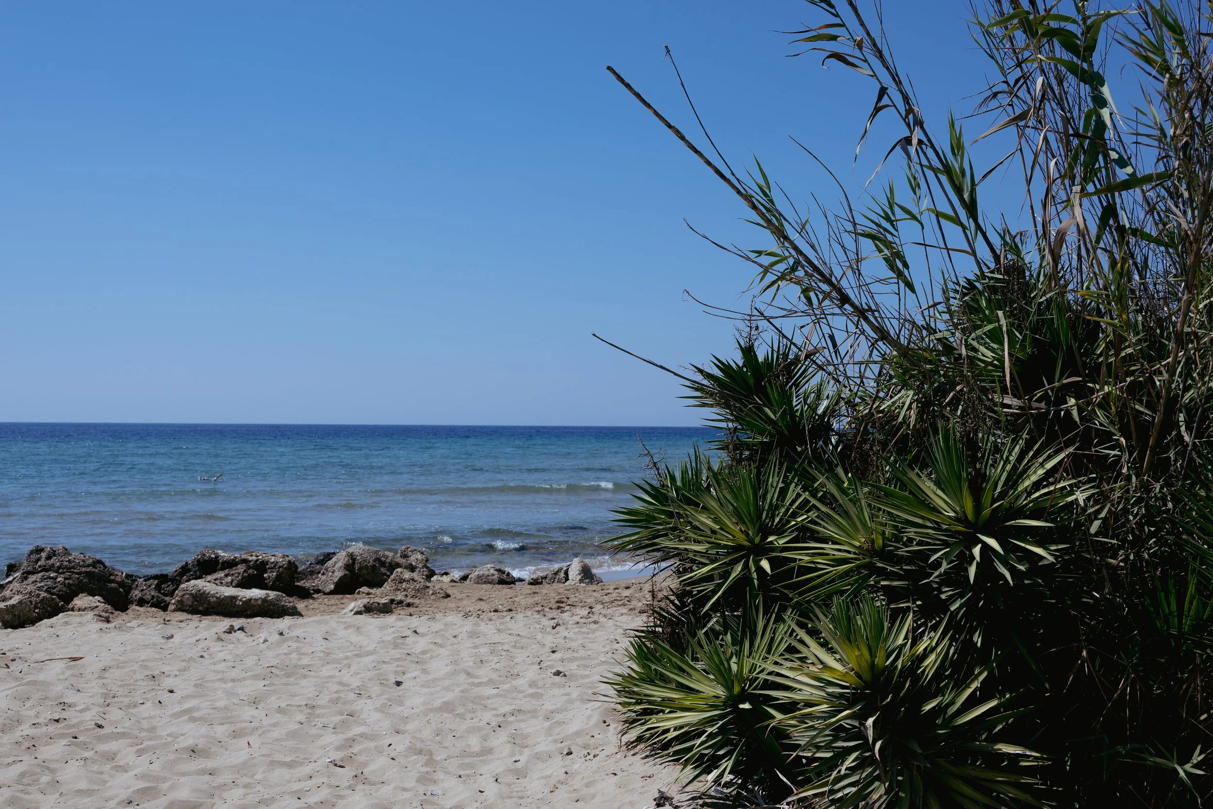 DSC_2149.jpg