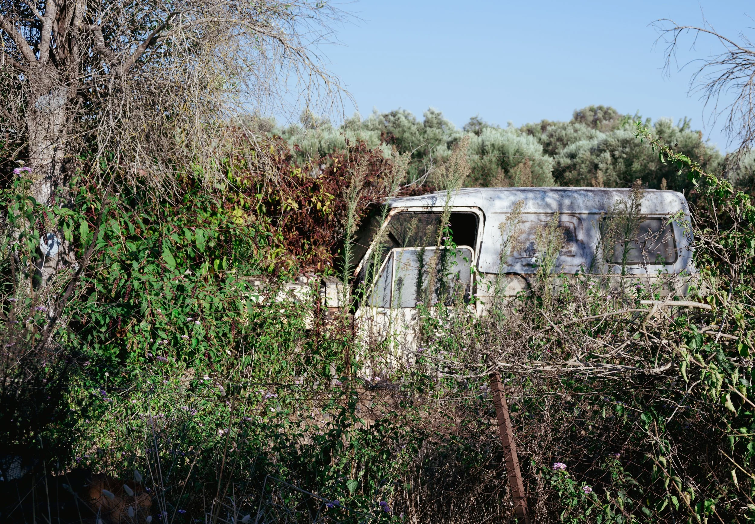 DSC_2447-2.jpg