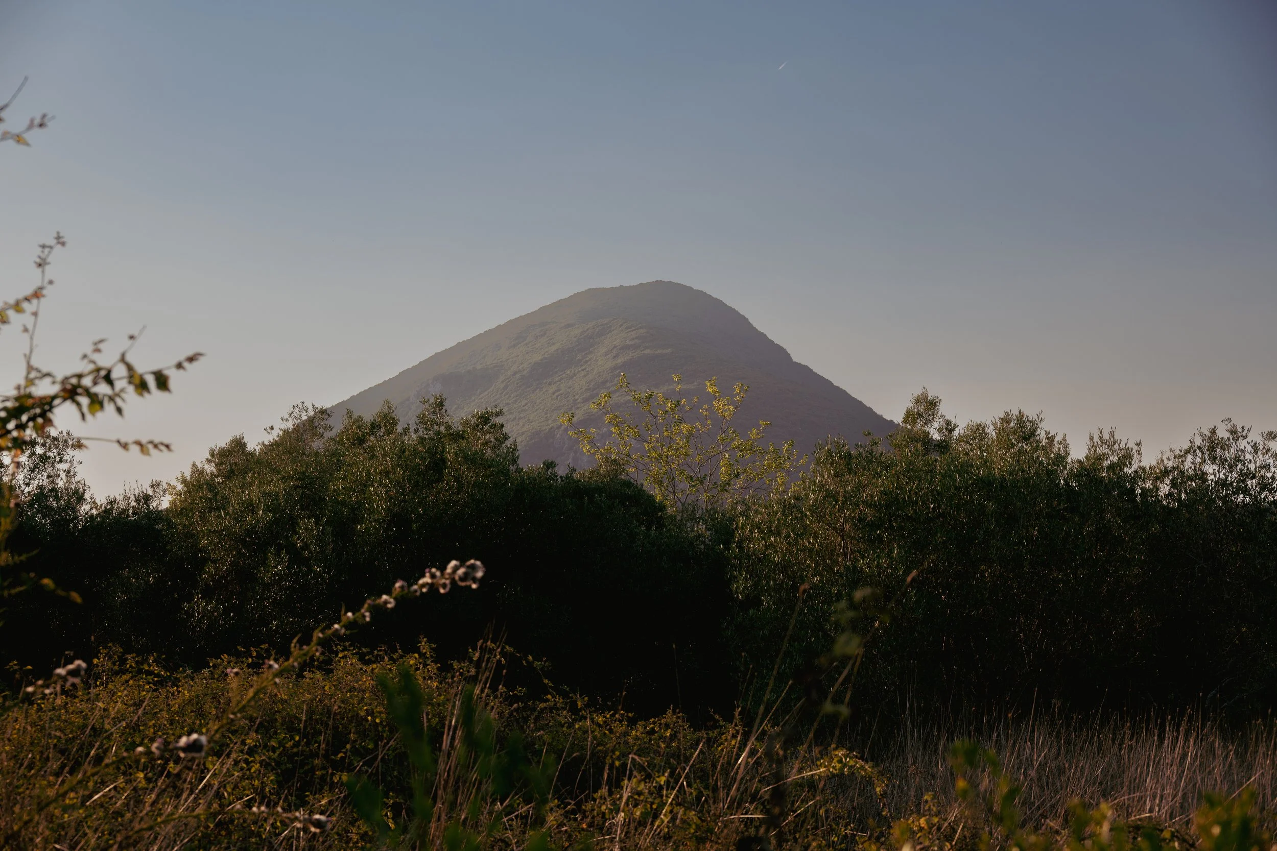 DSC_2478.jpg