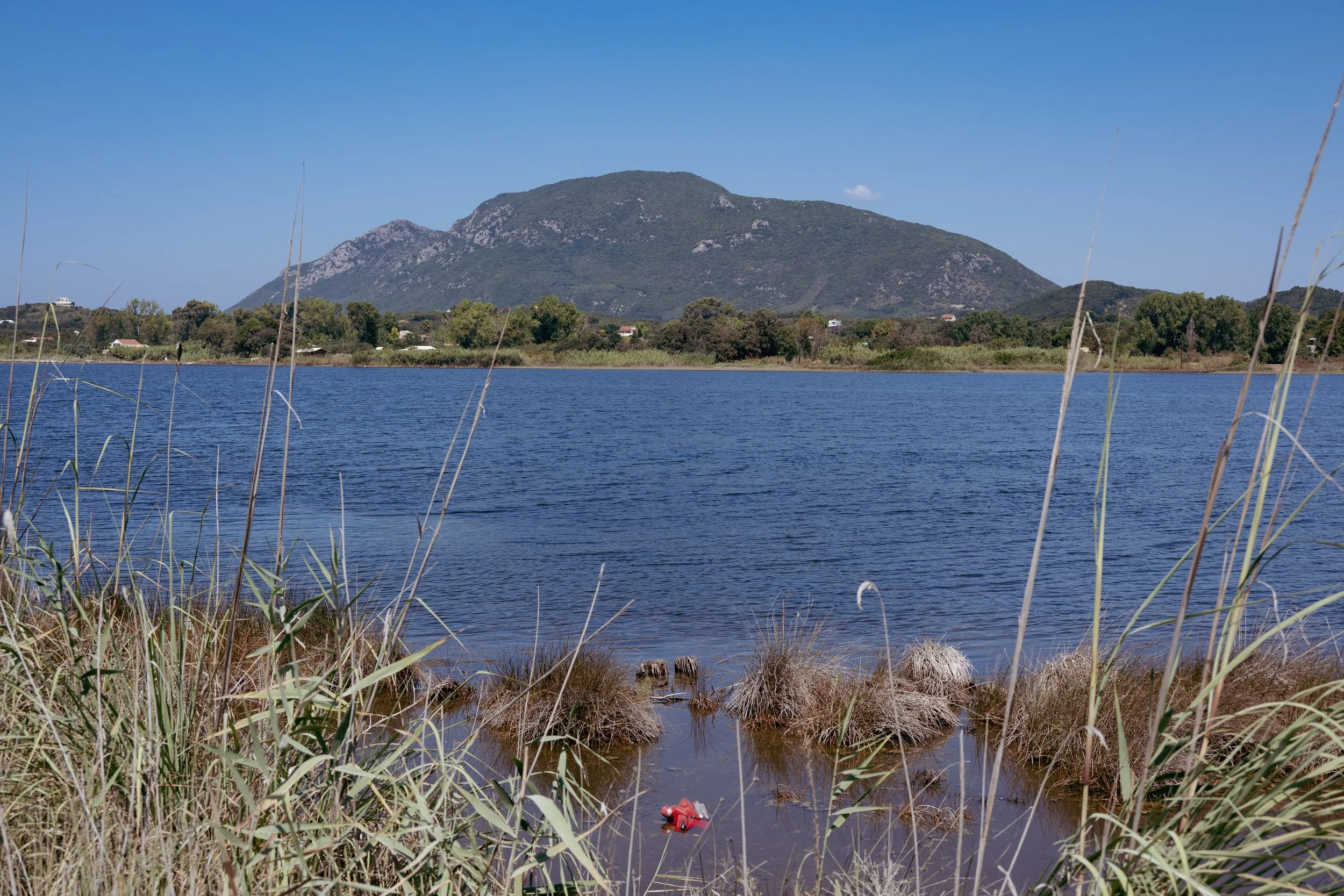 DSC_2142.jpg