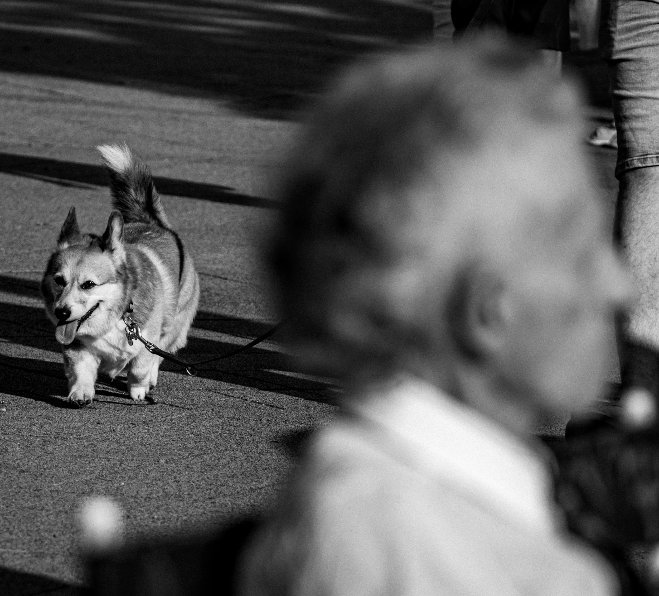 DSC_2874.jpg