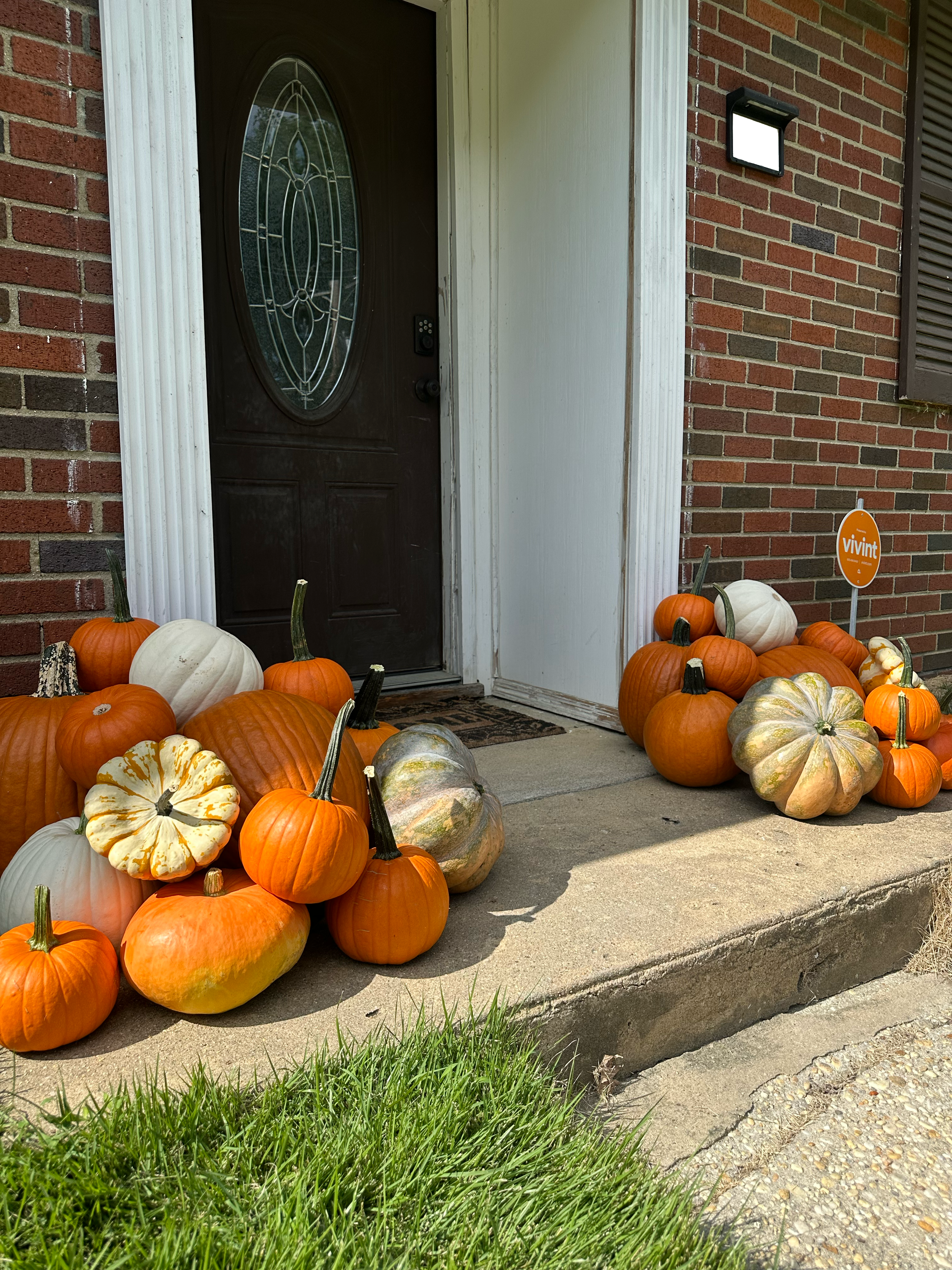Front porch with a black front door, brick wall, white trim, a doorbell camera, outdoor light, and pumpkins of various sizes and colors scattered on the concrete porch and ground in fall decoration.