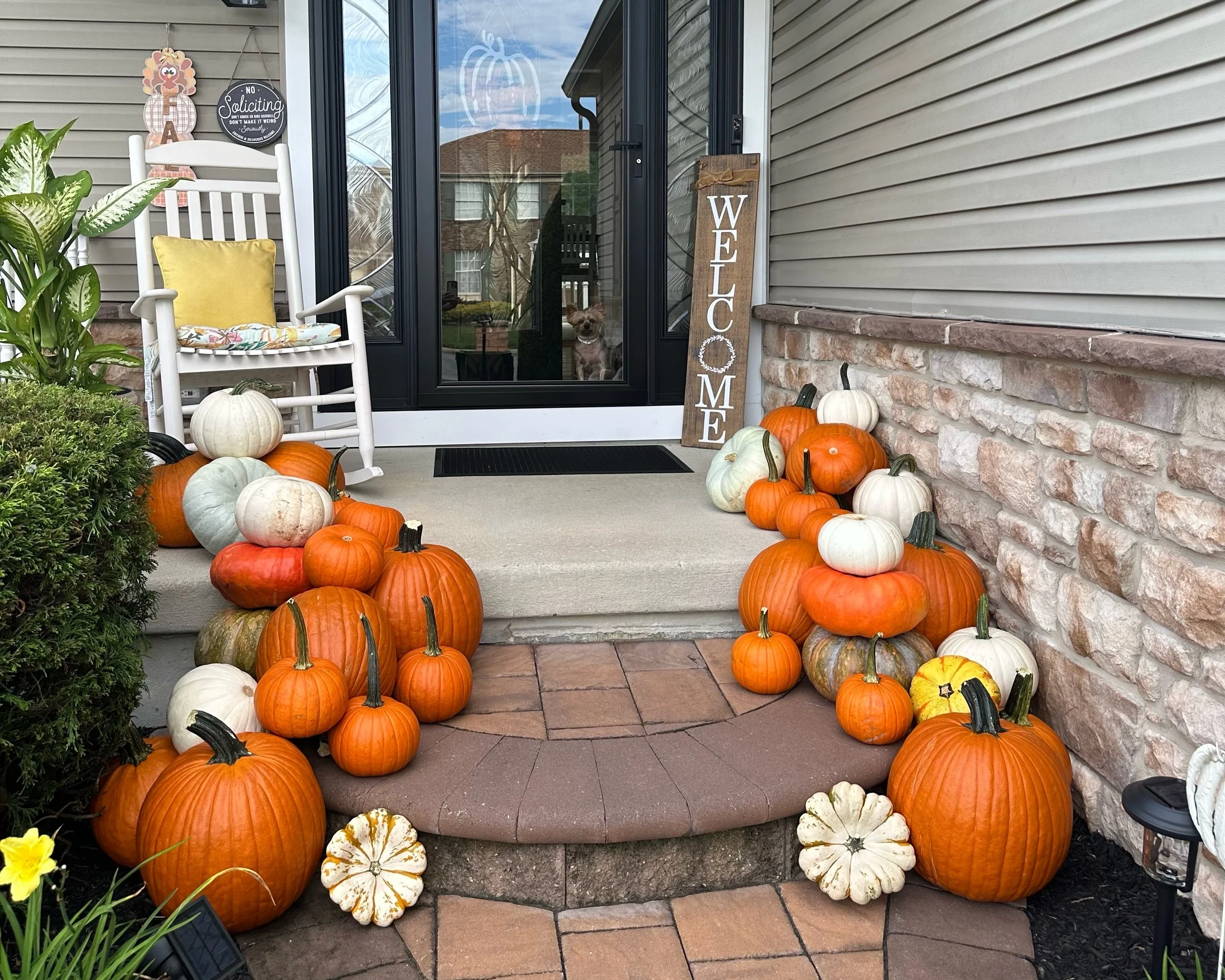 Fall porch display featuring orange, white, and green pumpkins arranged around a welcome sign and rocking chair.