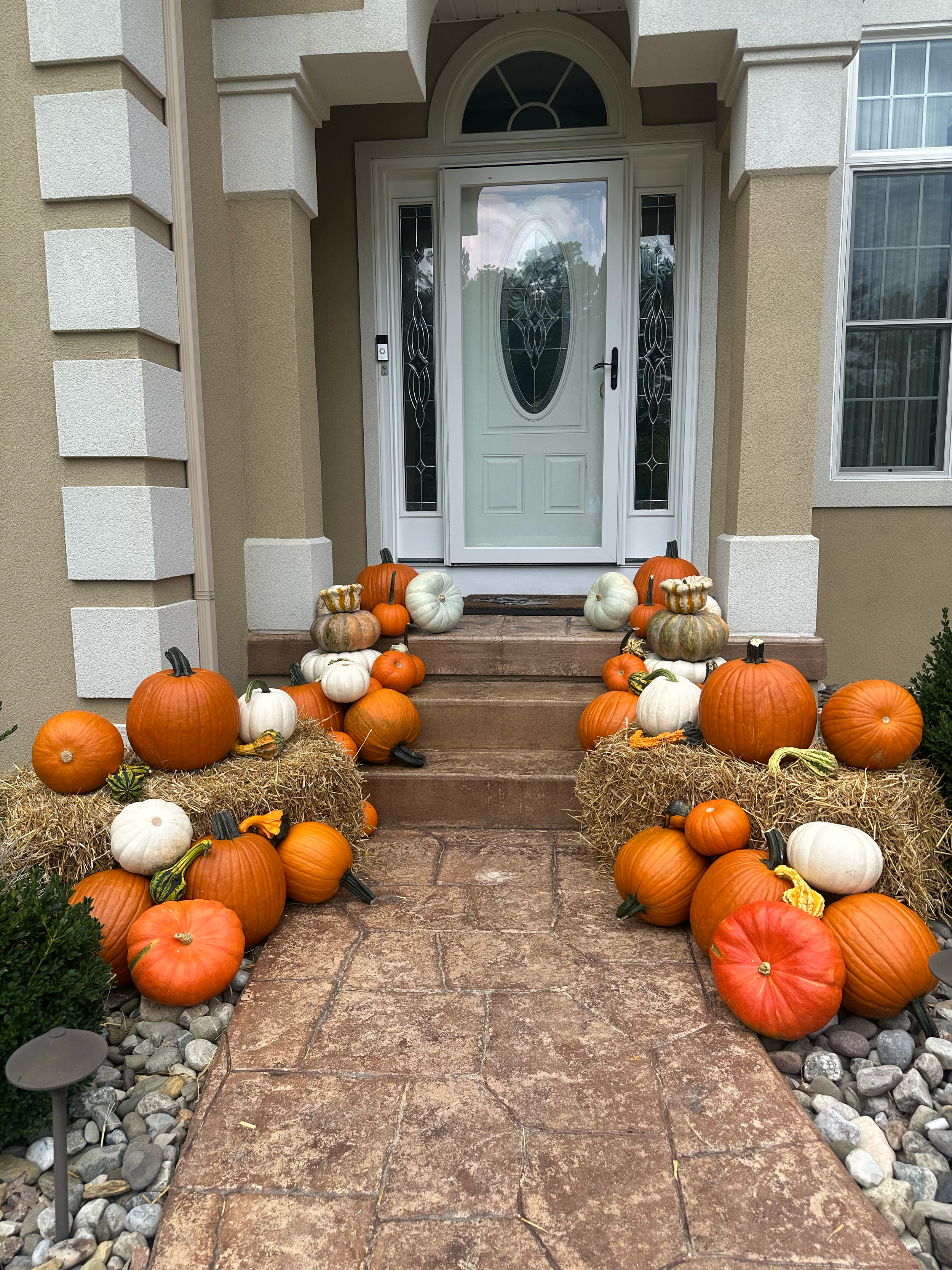 Large Pumpkin Package