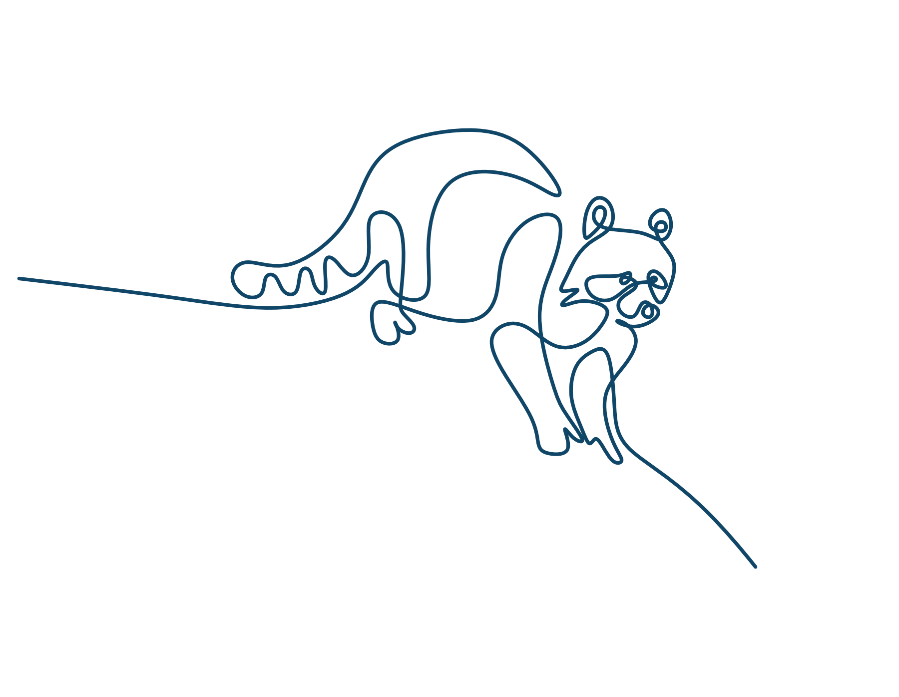 Dark-blue continuous-line illustration of a raccoon.
