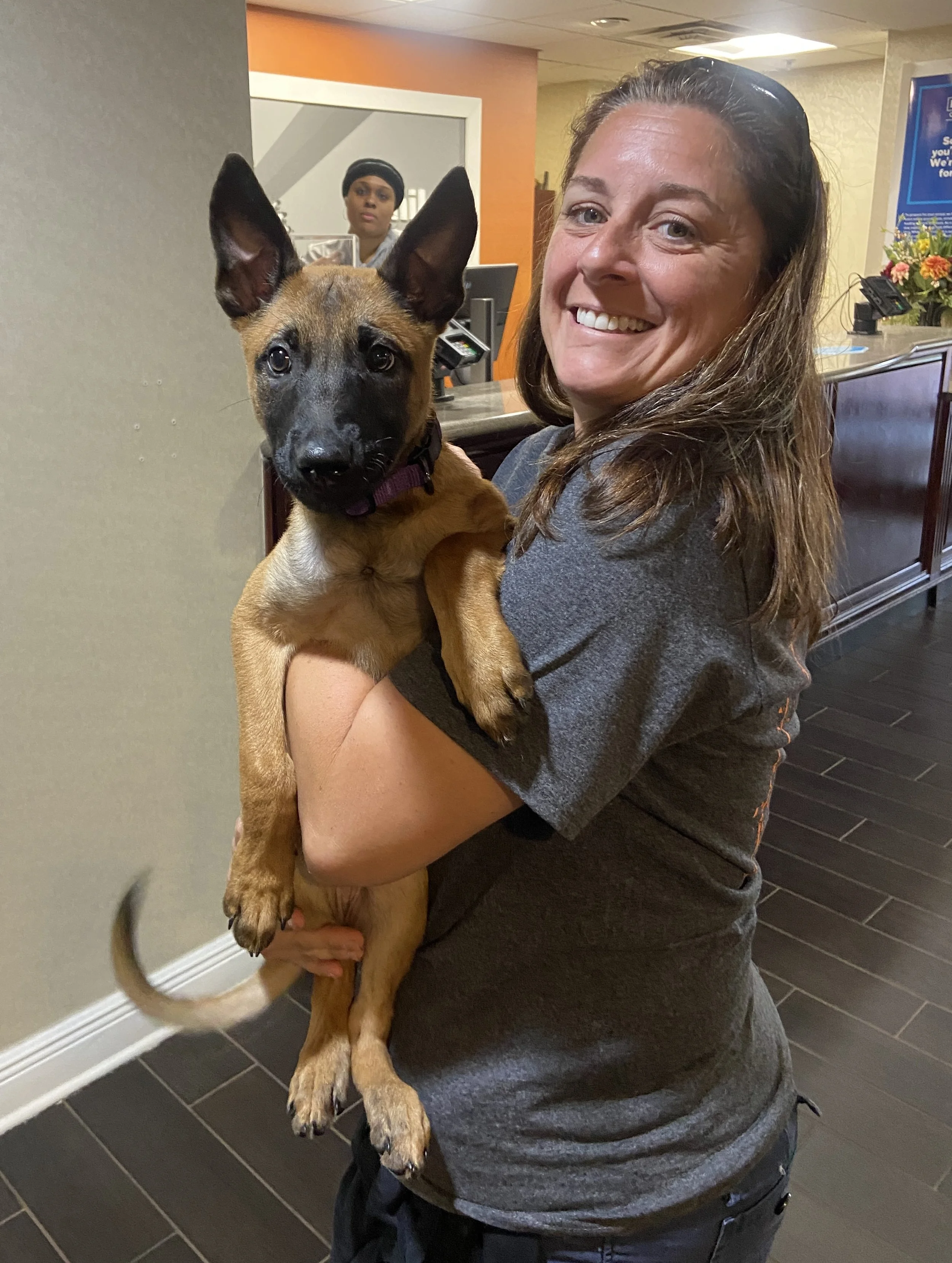 A woman with long brown hair smiling while holding a tan and black Belgian Malinois puppy with upright ears inside a building, possibly a reception area with flowers and informational signs.