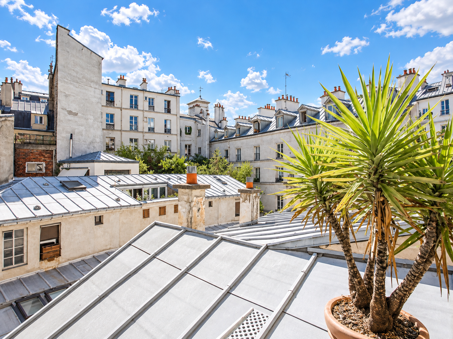 View of Paris rooftops with a tall potted plant in the foreground and a bright blue sky with scattered clouds.