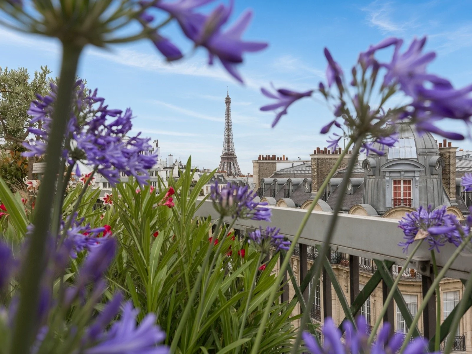View of Paris rooftops with the Eiffel Tower in the background, framed by purple flowers in the foreground on a balcony.
