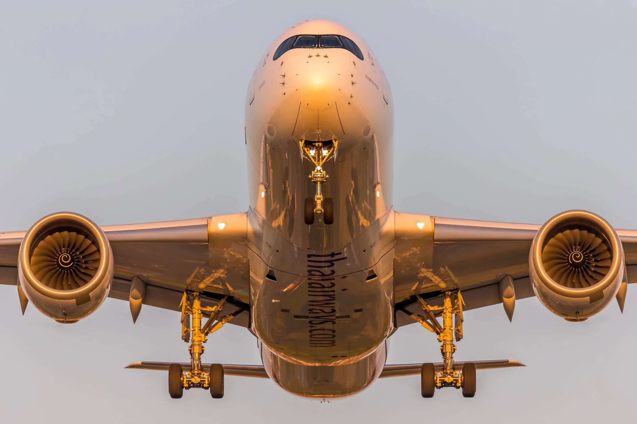 50342663727_d054c6d8c9_o (1).jpg