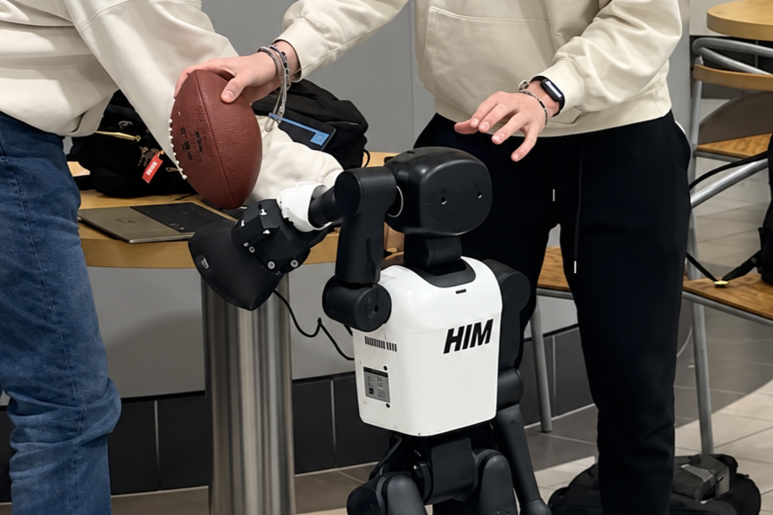 Humanoid Robotics