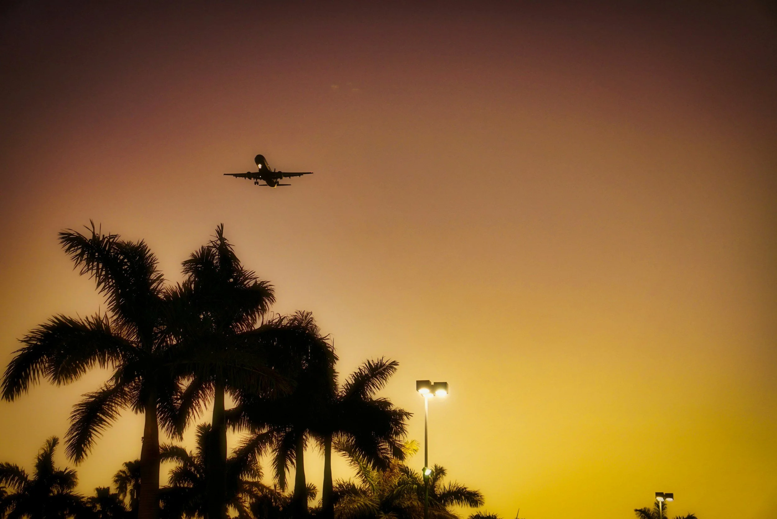 An airplane flying in the sky at sunset with palm trees and streetlights in the foreground.
