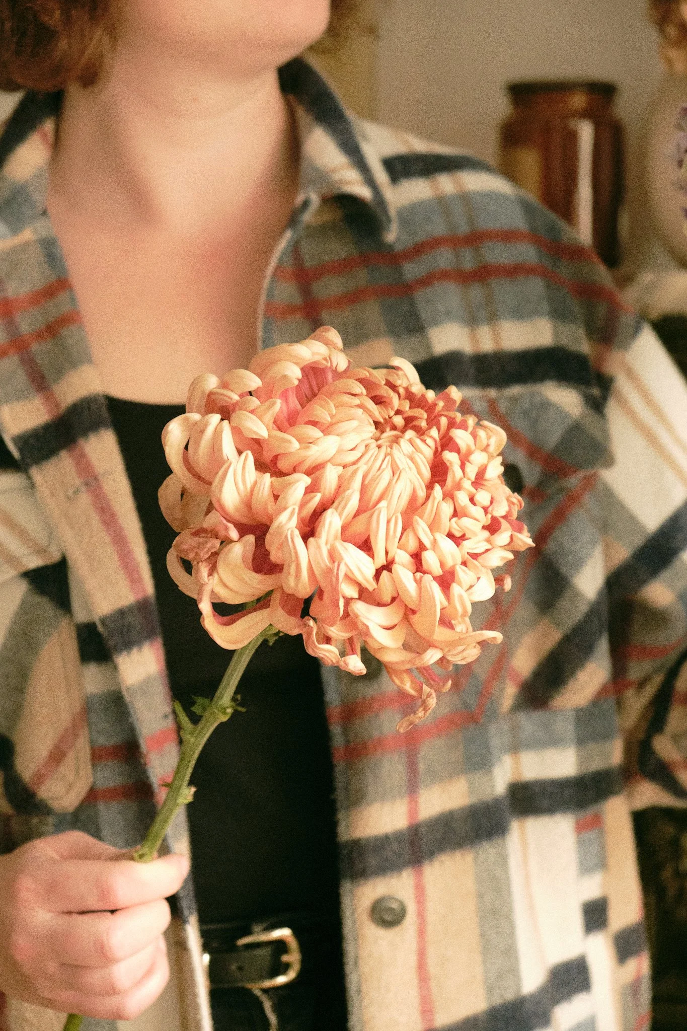 Une personne tenant une grande fleur orange pâle avec des pétales enroulés. La personne porte une chemise à carreaux avec des couleurs beige, gris, rouge et noir.