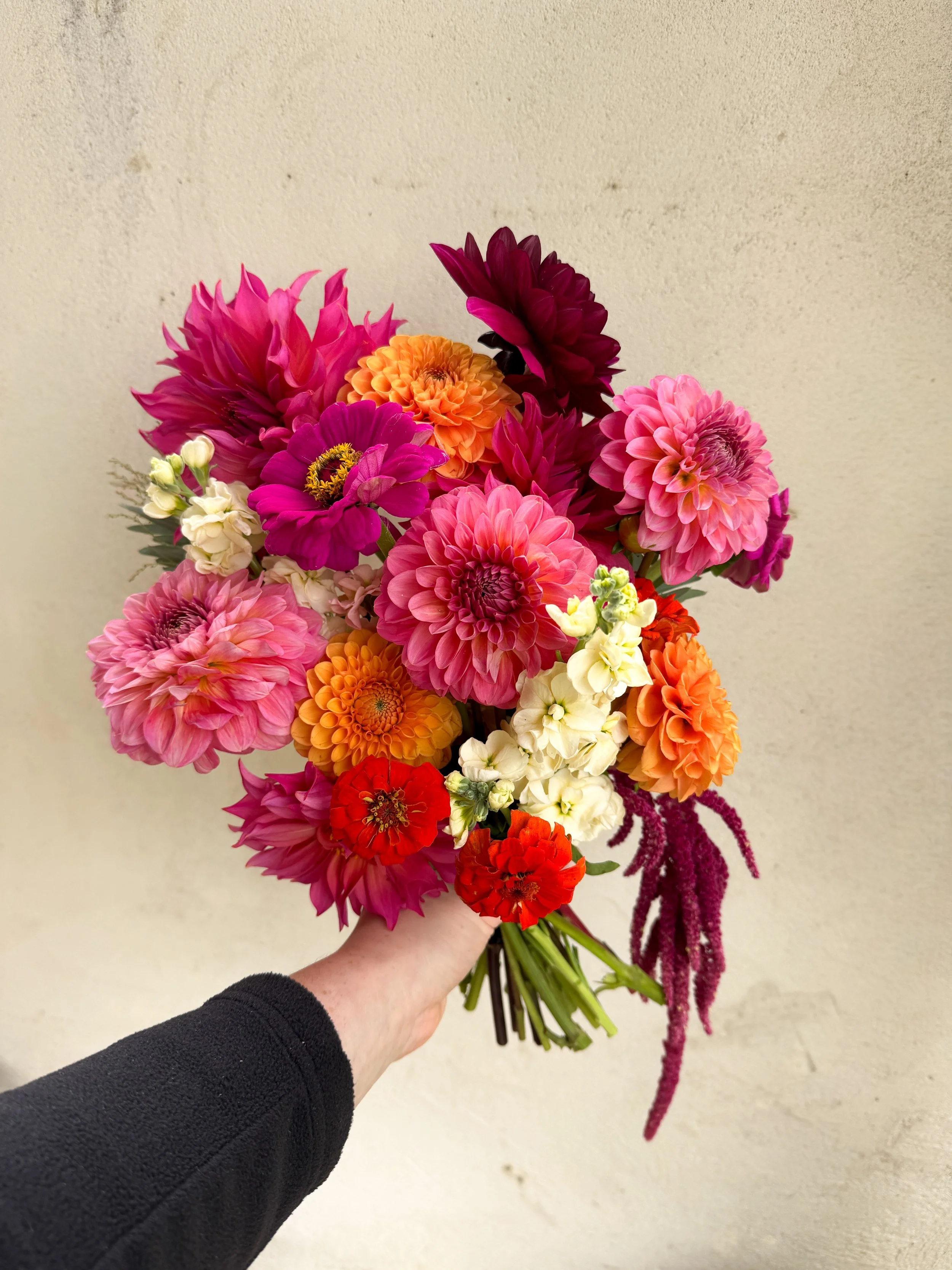 Un bouquet de fleurs colorées, comprenant des dahlias, des zinnias, et d'autres fleurs variées, tenu par une main contre un fond beige.