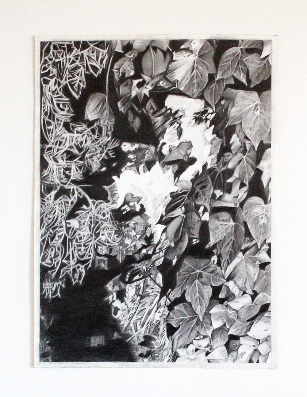 Understory 11 (2024) - Pencil on Archival Paper - 20" x 30" - $2000