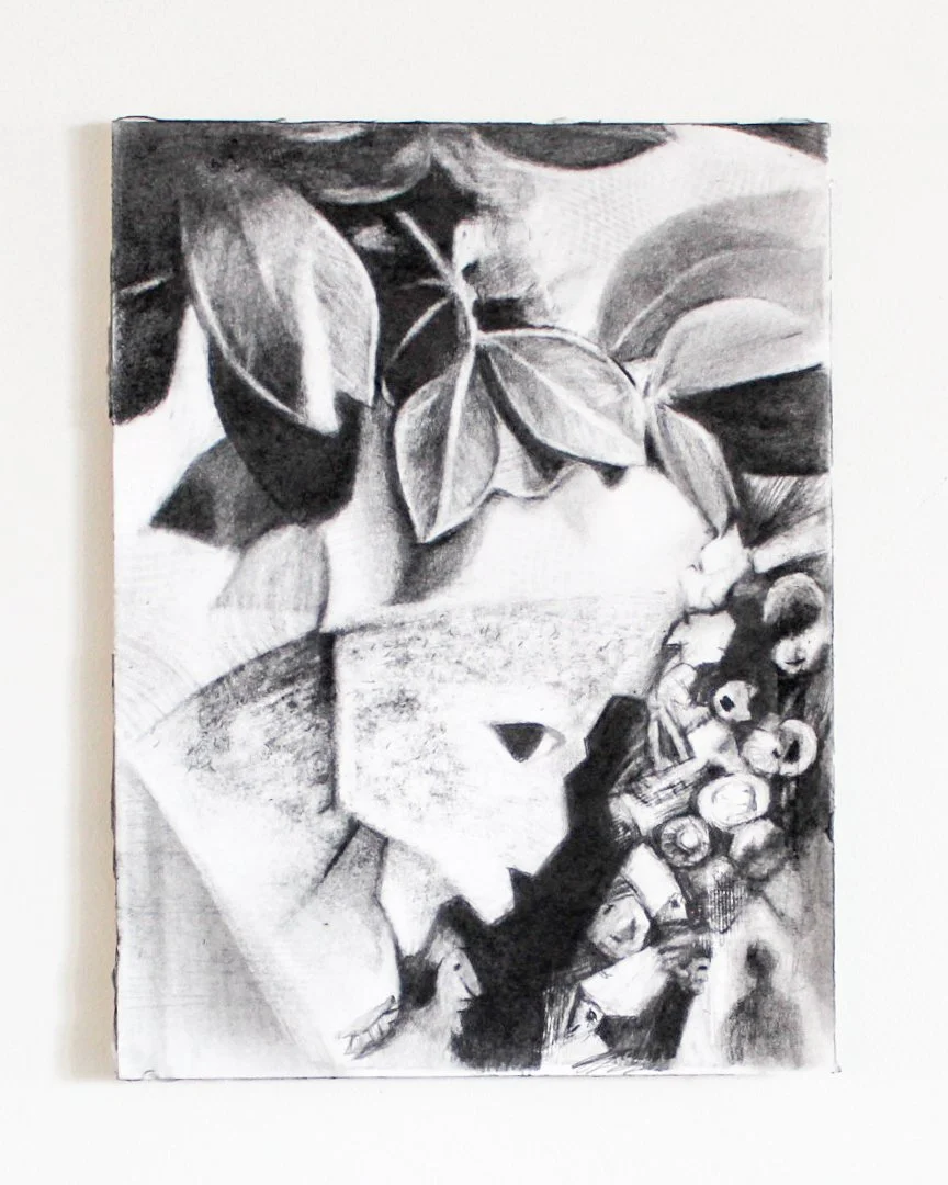 Understory 4 (2024) - Pencil on Archival Paper - 9" x 12" - $300