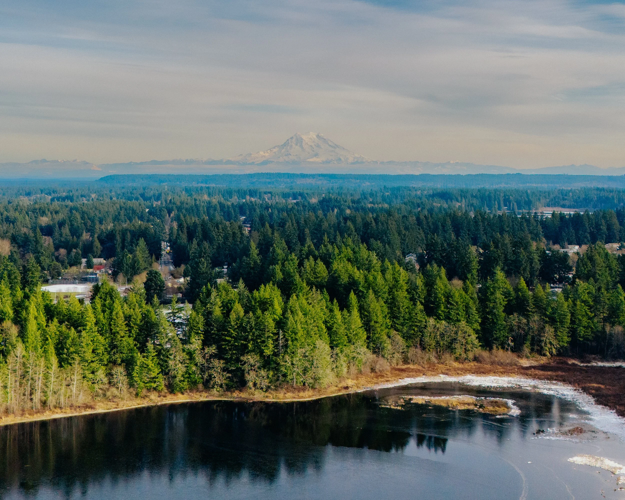A landscape view of waterfront flowing through a dense green forest with a snow-capped mountain Mt. Rainier in the distance under a partly cloudy Pacific Northwest sky.
