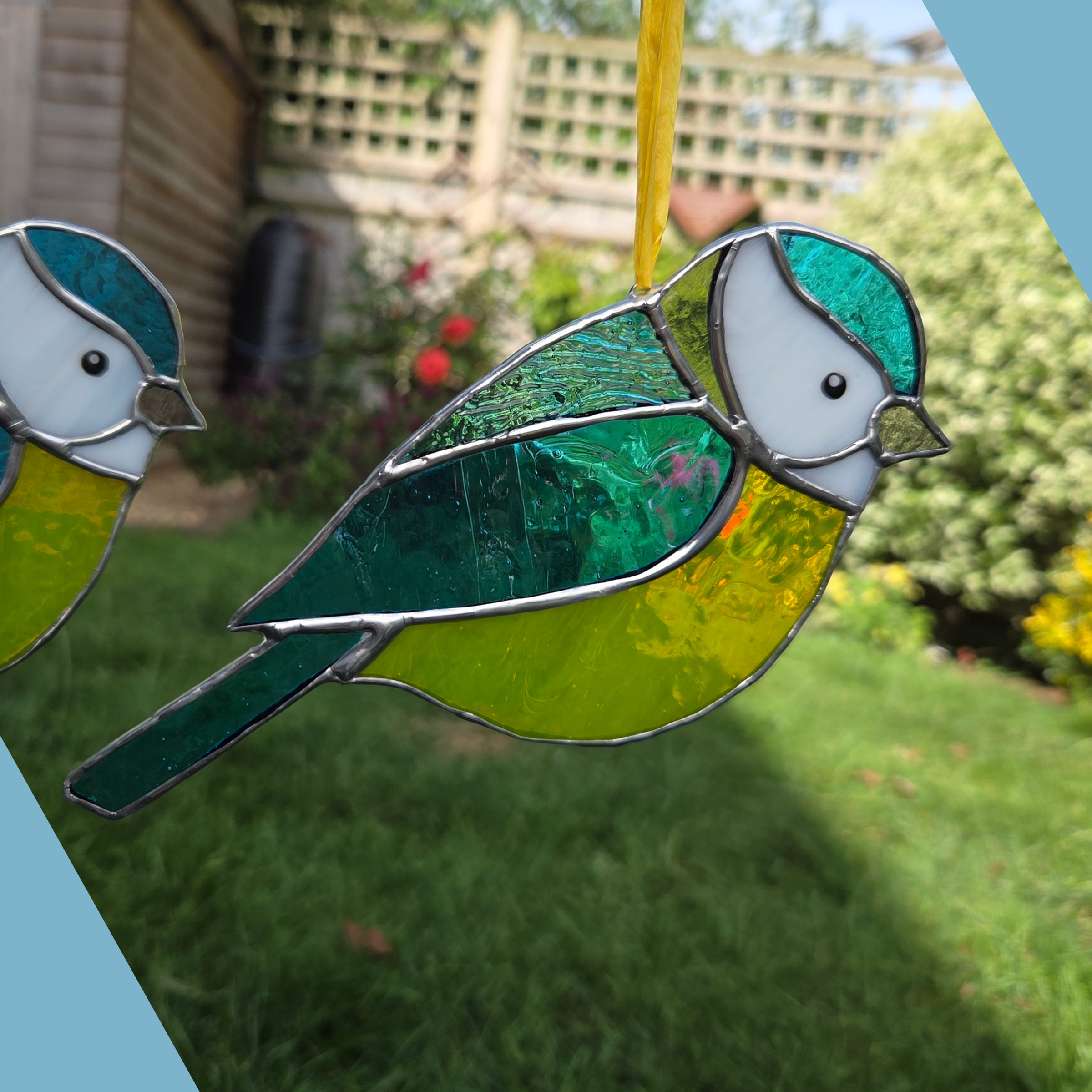 Bird Tit.png