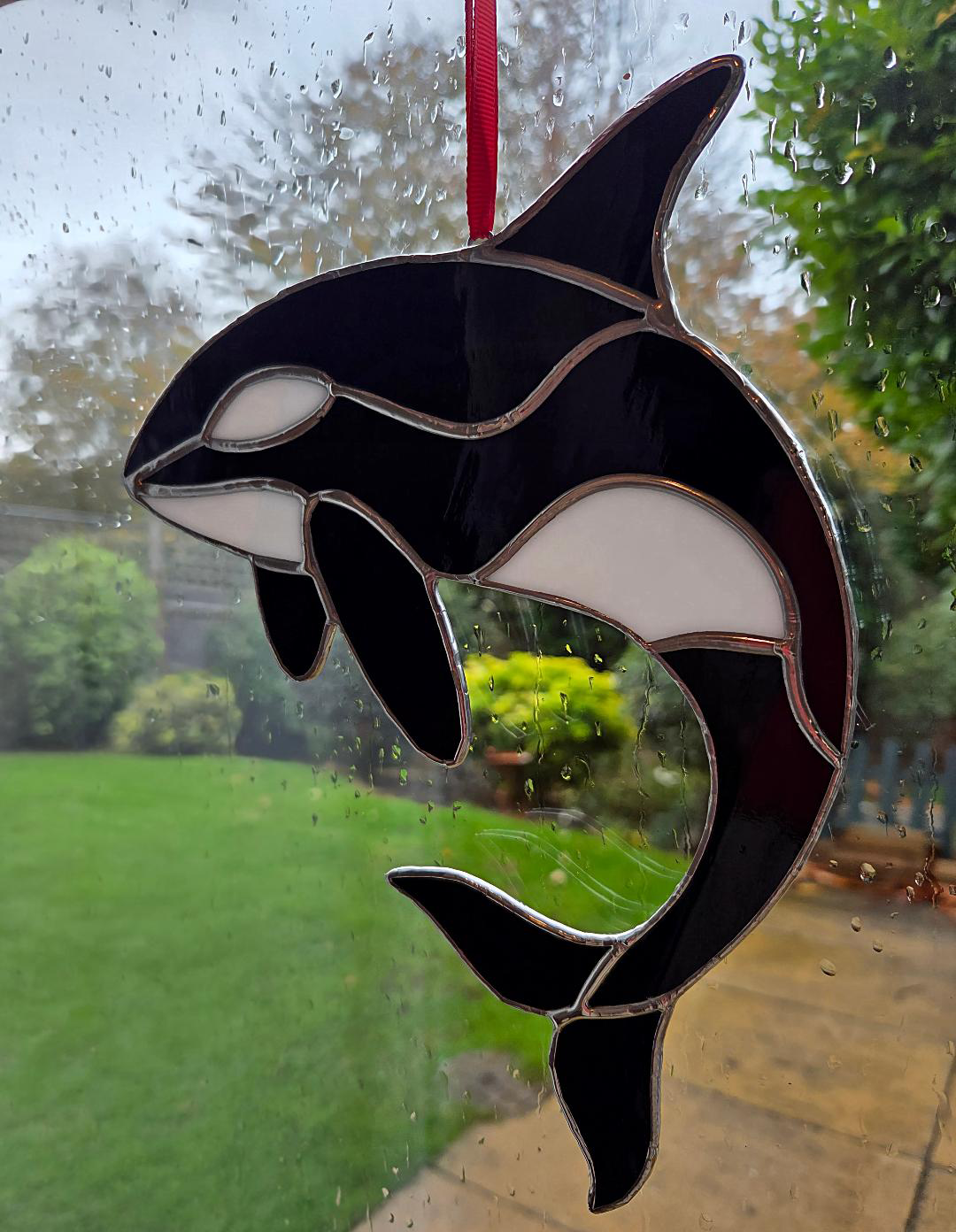 Stained Glass Suncatcher of a Orca Killer Whale hanging by a red ribbon