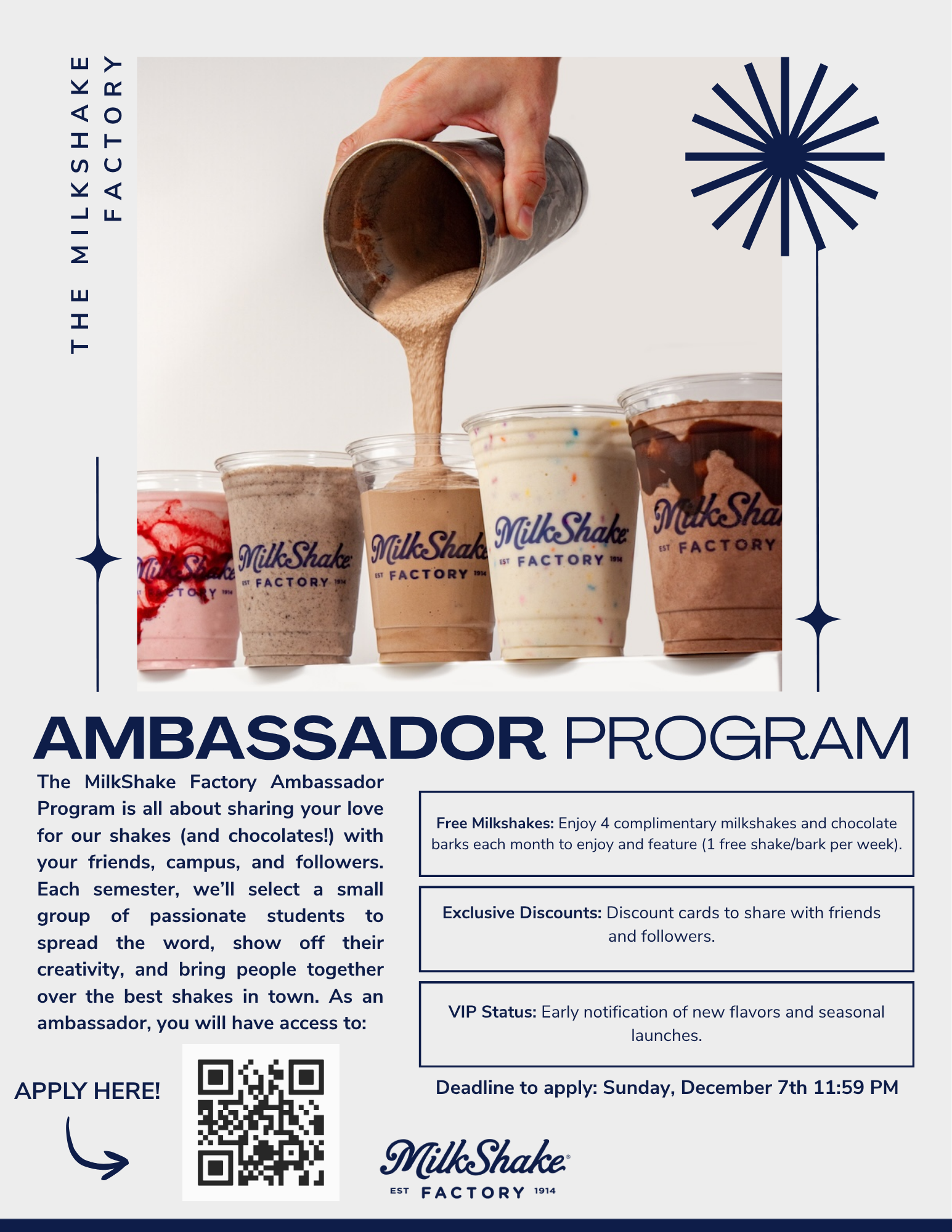 MSF Ambassador Program Flyer (2).png