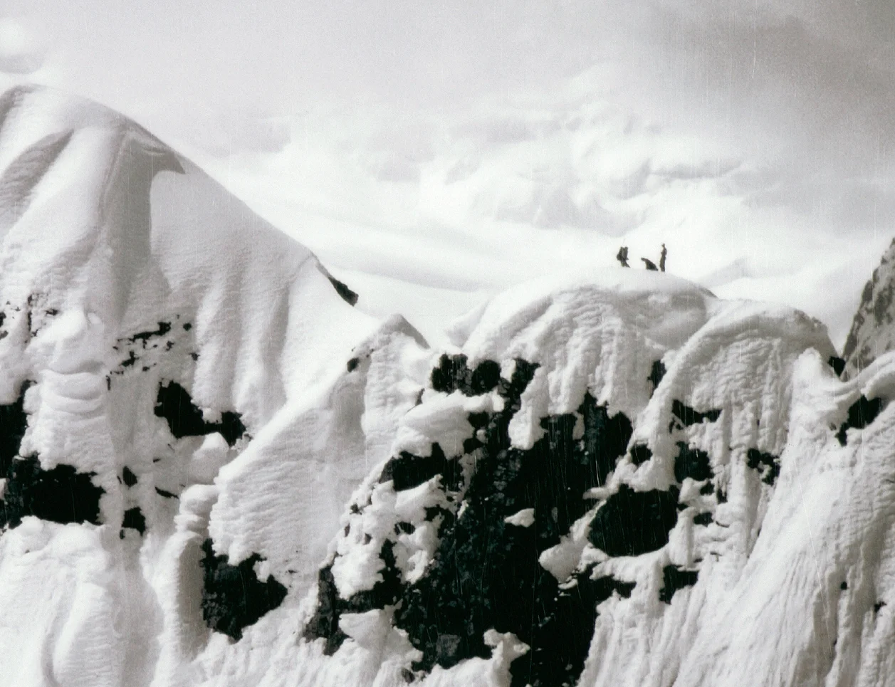 Lowealpinescreen.jpg