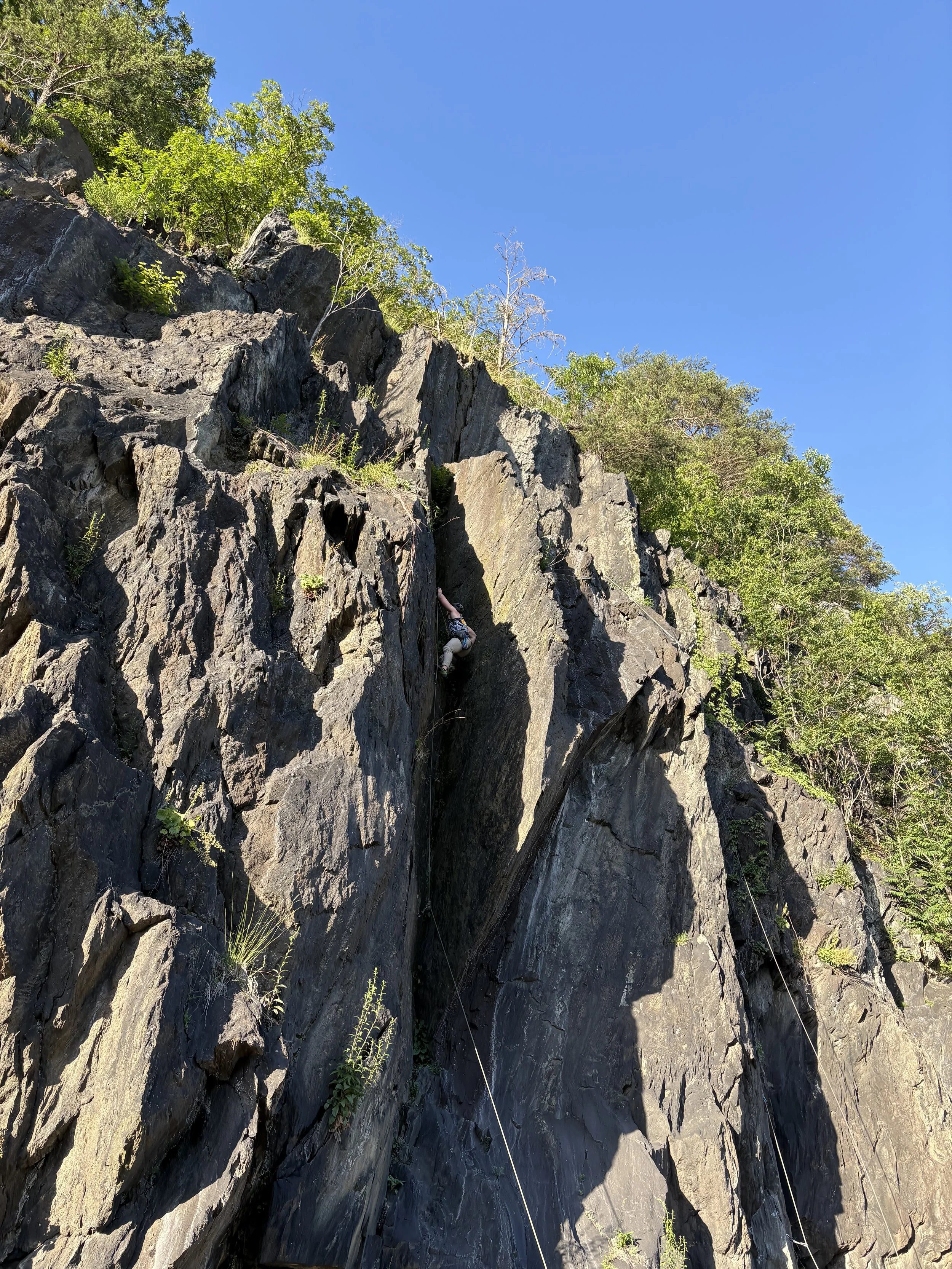 A person rock climbing on a steep, rocky cliff with green trees and a clear blue sky in the background.