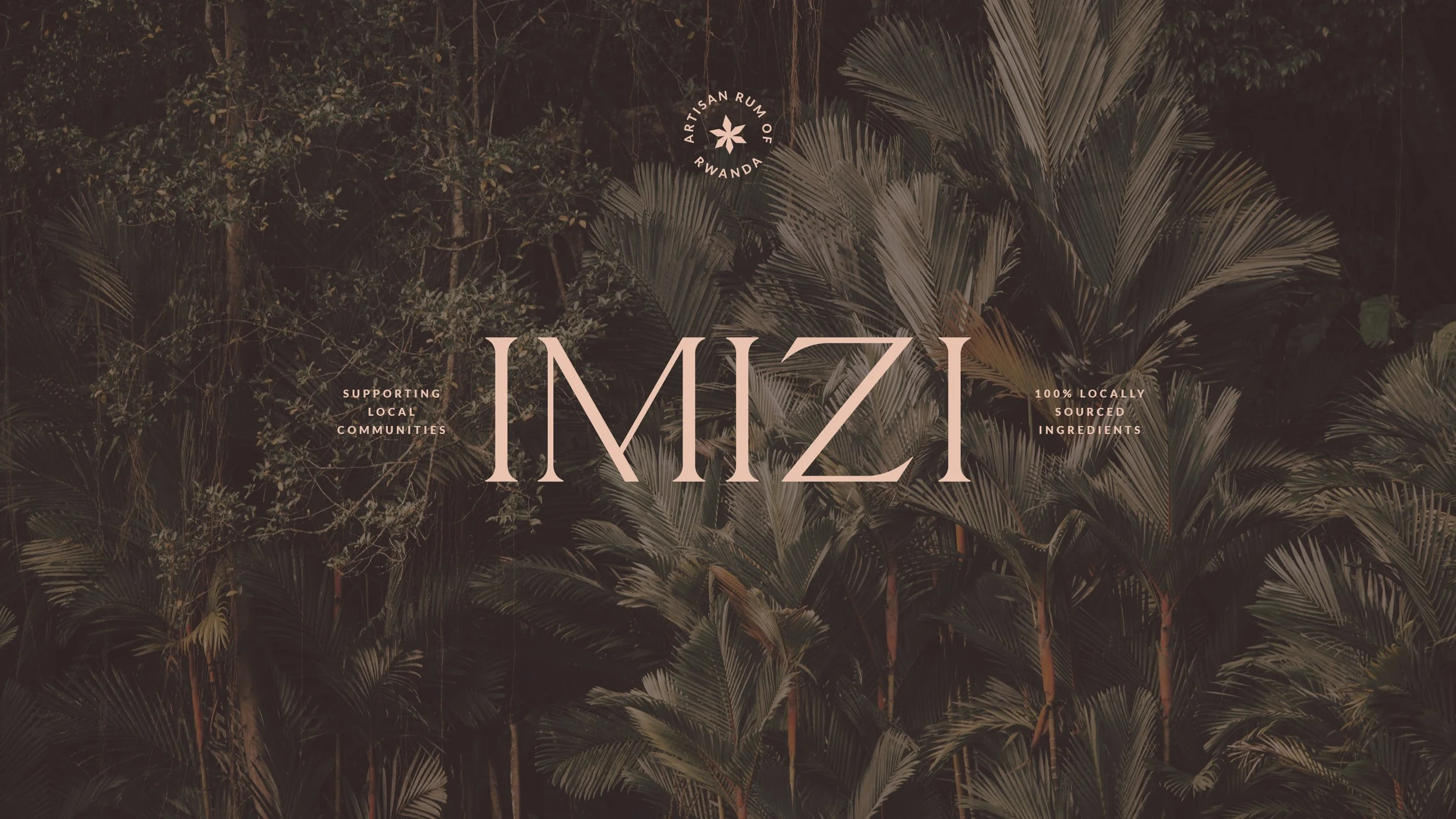 IMIZI_BRAND_GUIDELINES_FOLIO10.jpg