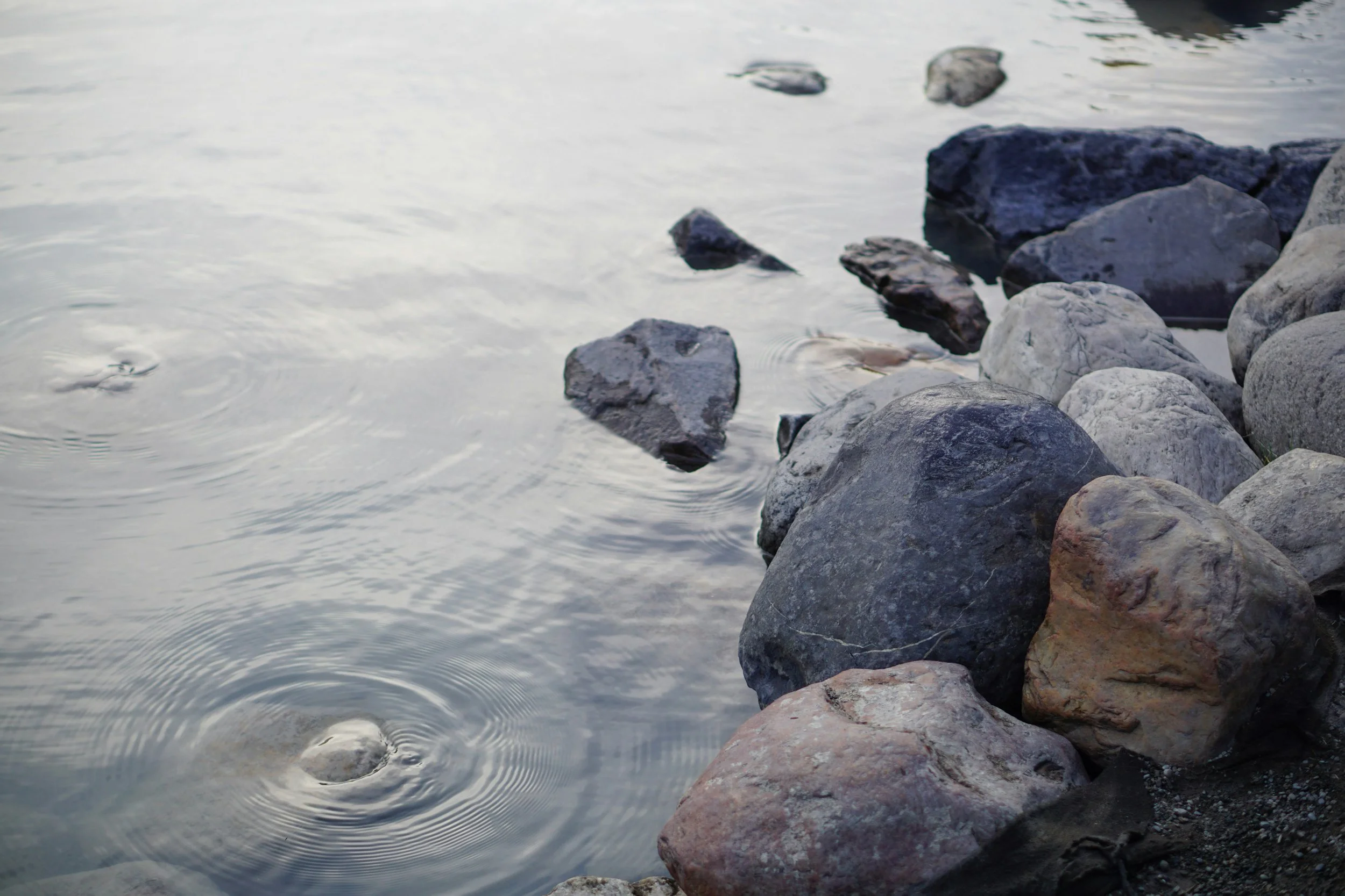 Rocks along a shoreline with water gently rippling around them.