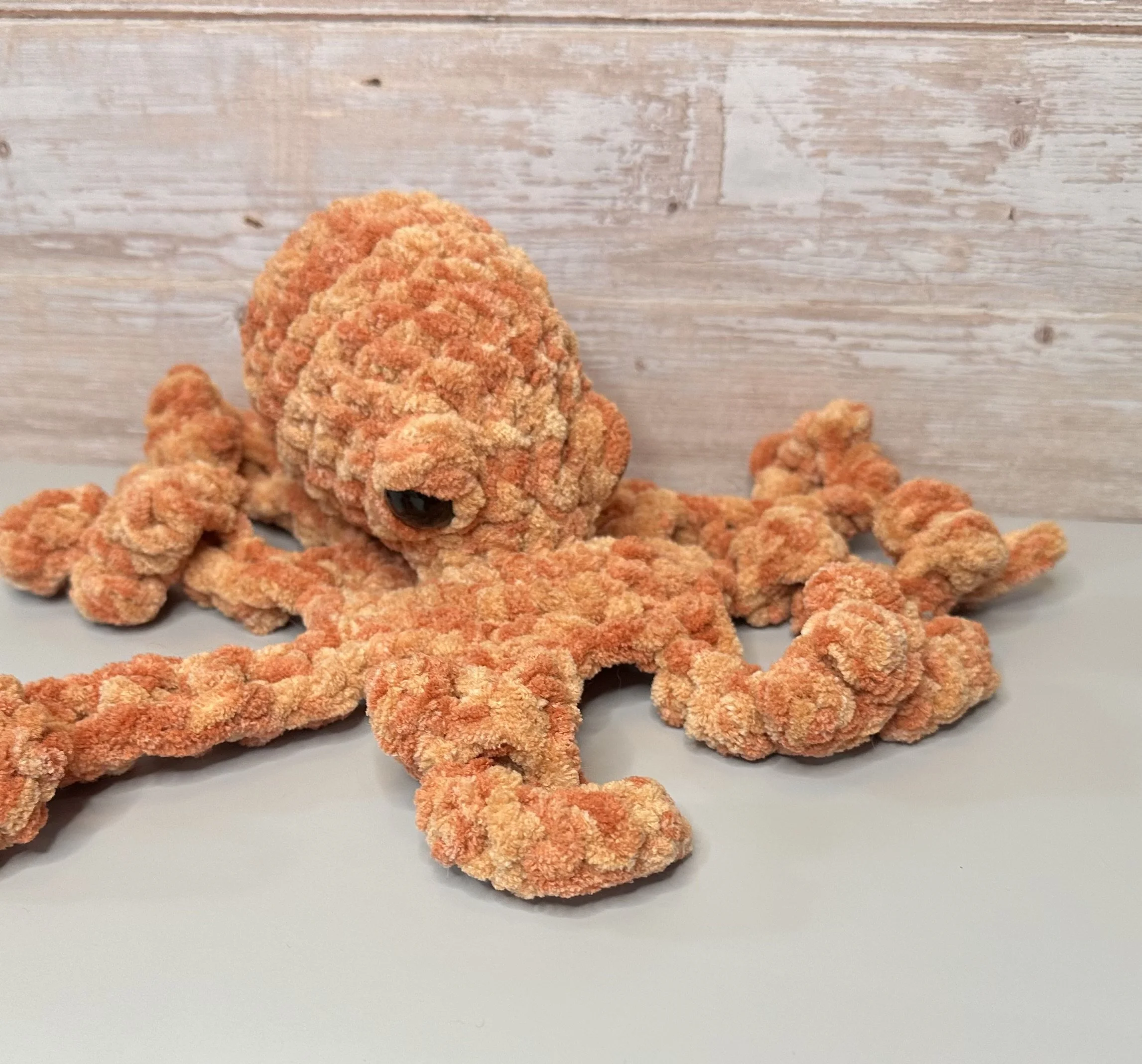 Octopus