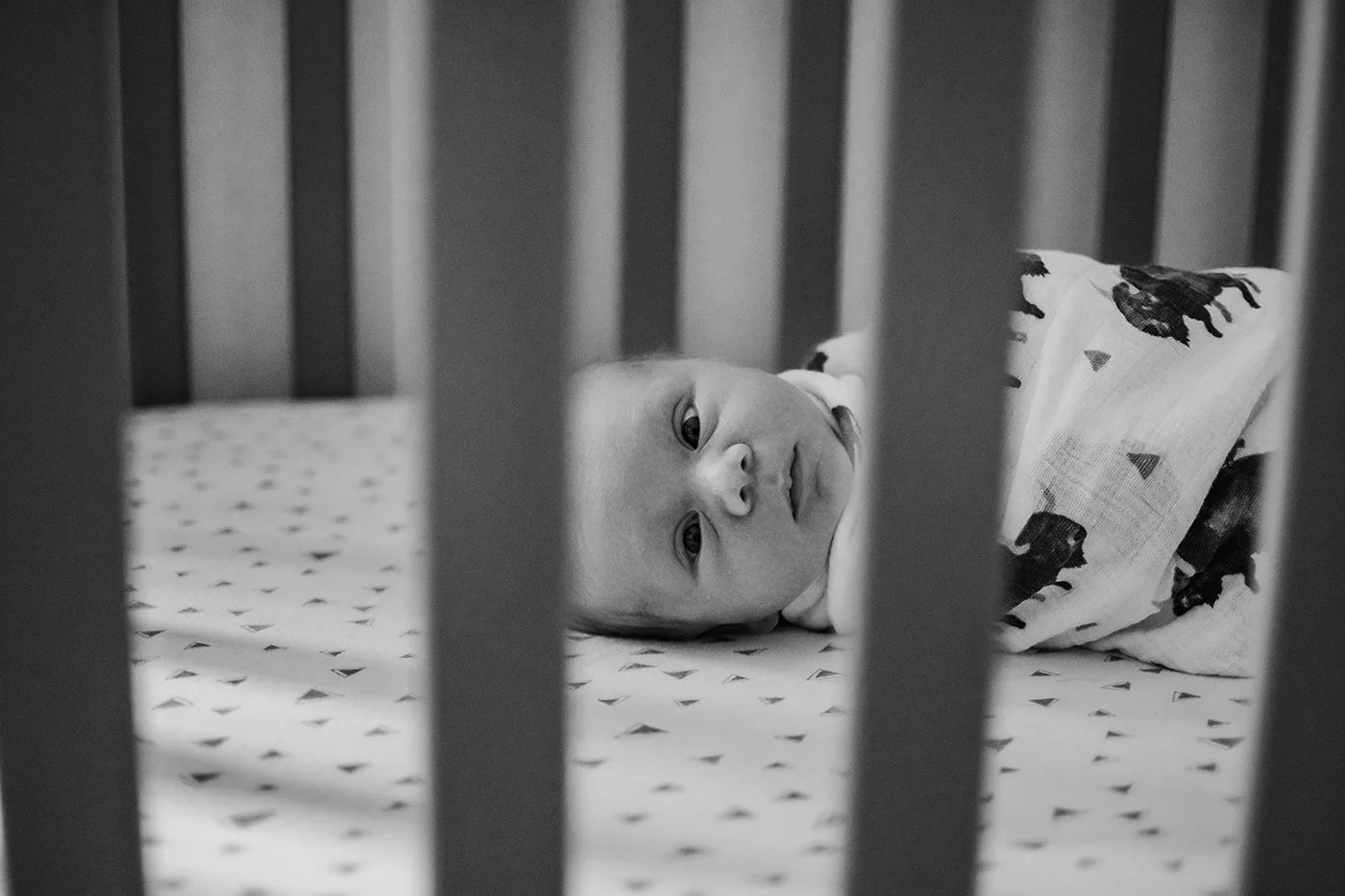DSC_5965b&w.jpg