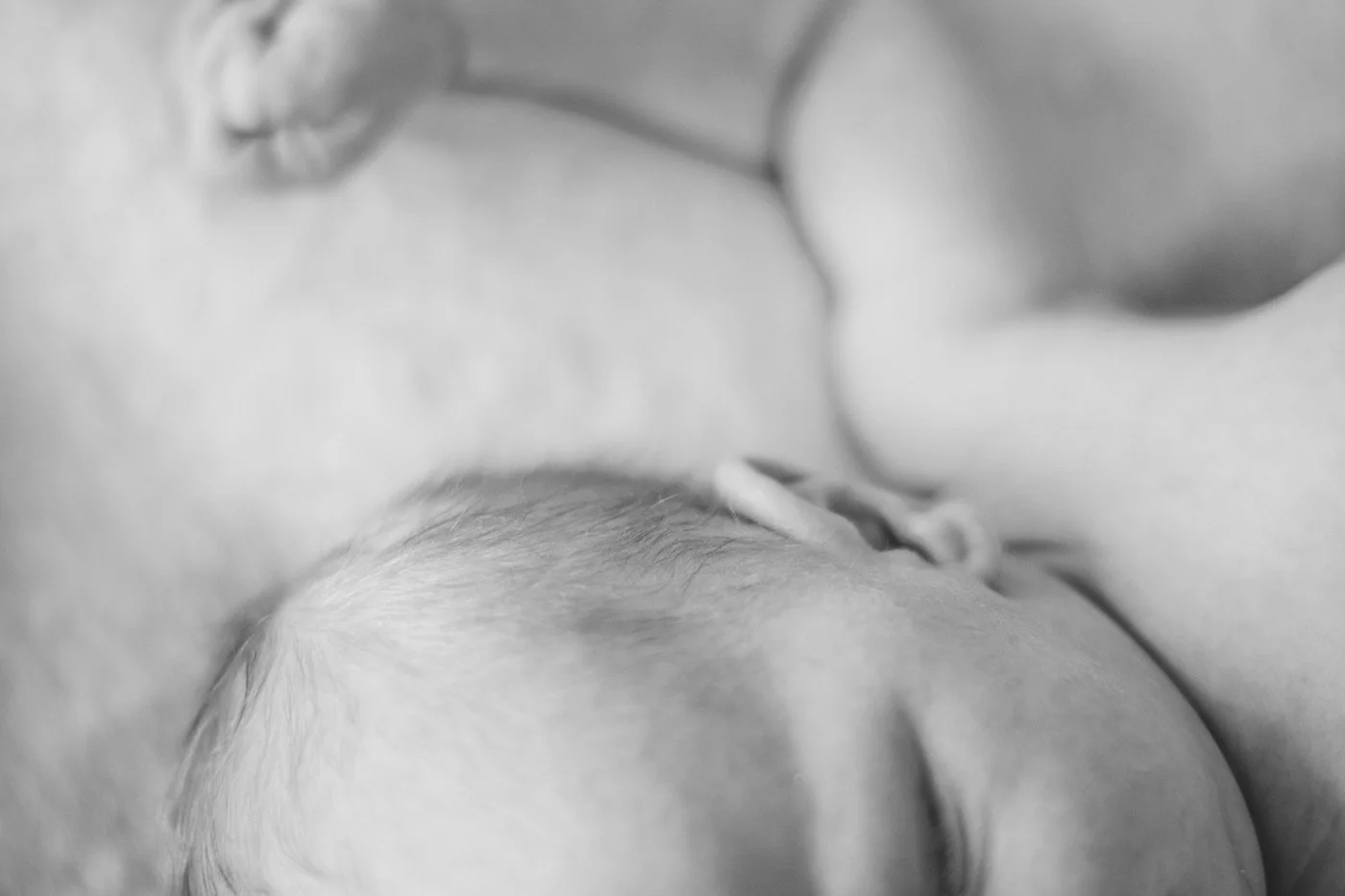 DSC_5050b&w.jpg