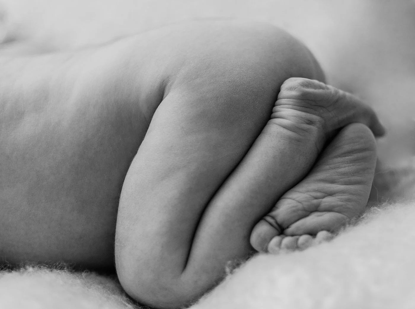 DSC_8988b&w.jpg