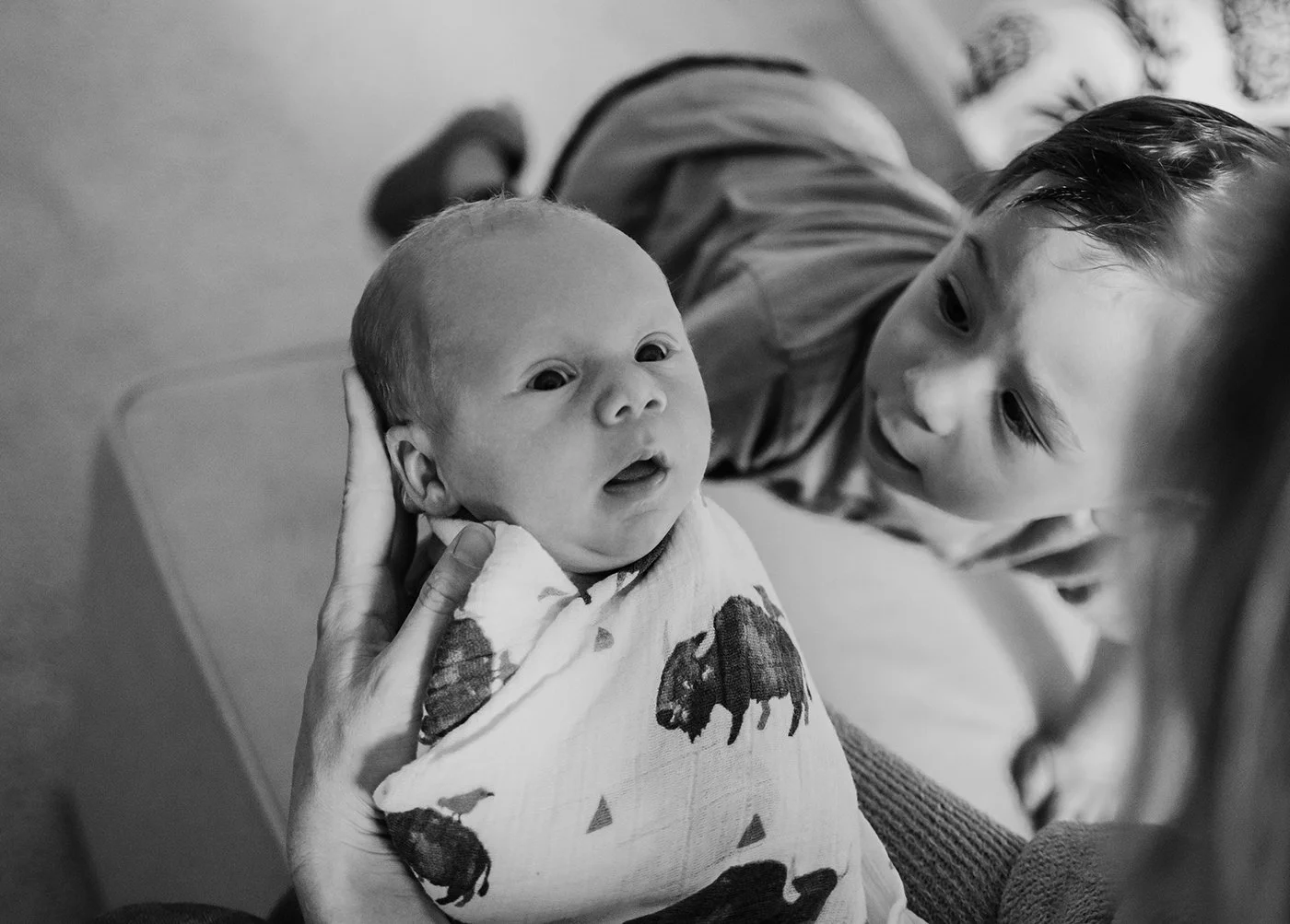 DSC_5882b&w.jpg