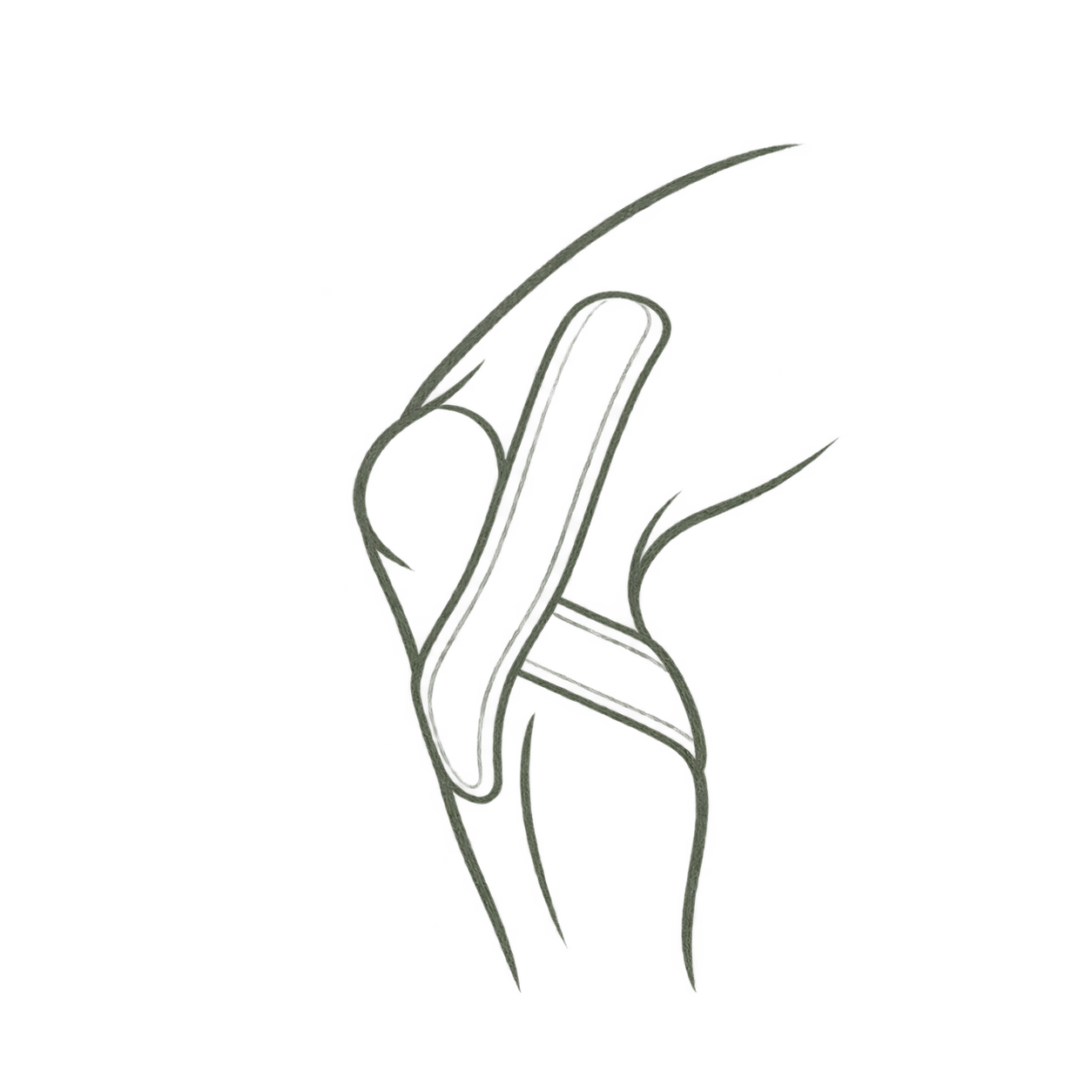 Stylized line drawing of a praying mantis.