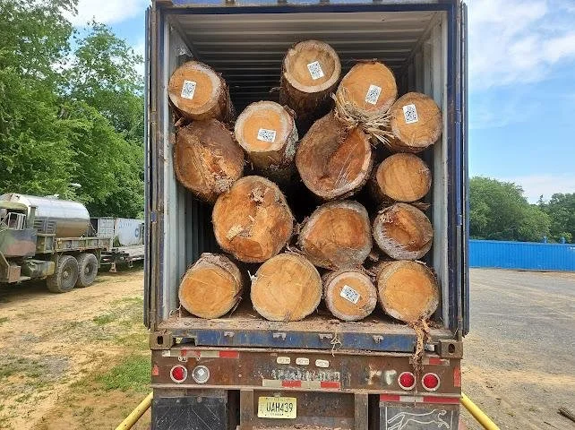 Southern yellow pine logs